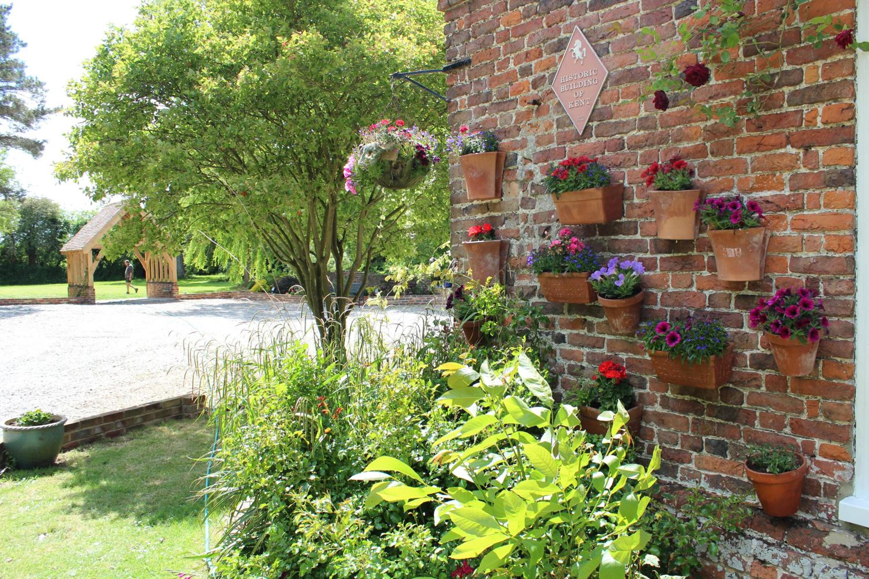 Molland Manor House Bed & Breakfast