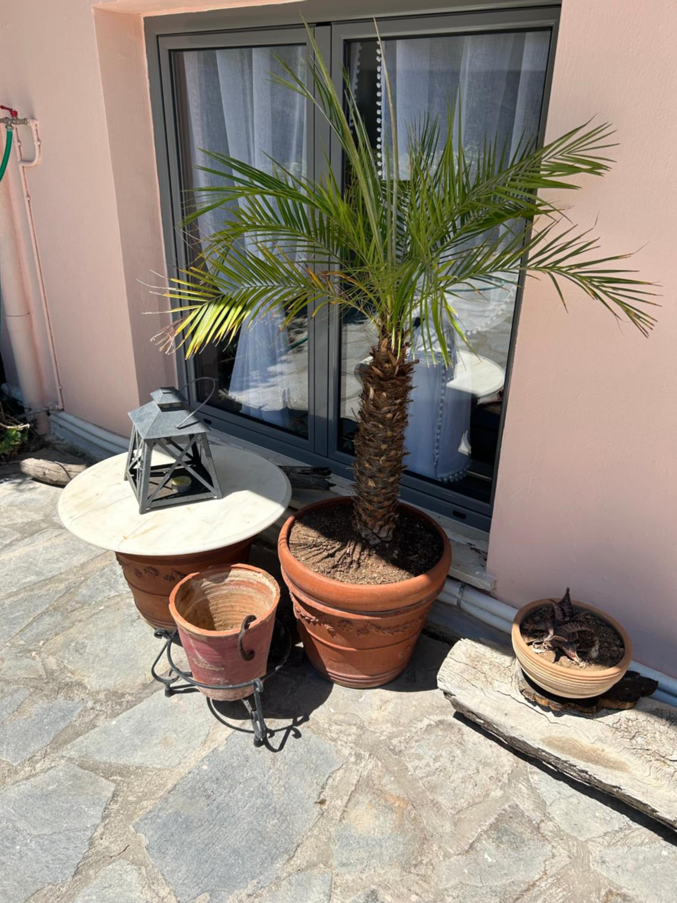 Paola’s apartments near Athens Airport photo 4