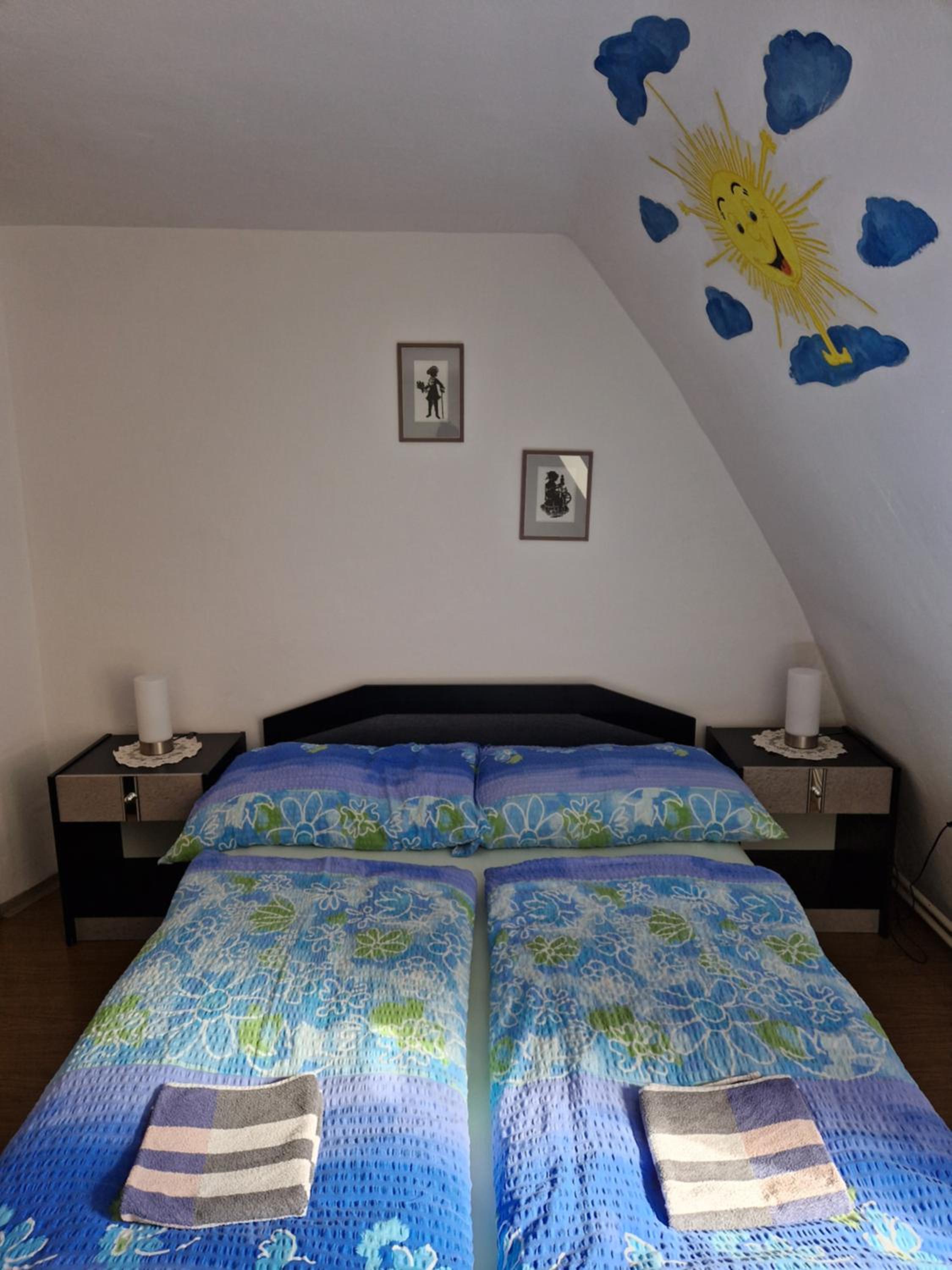 Pension u Adršpachu - Dana Tyšerová