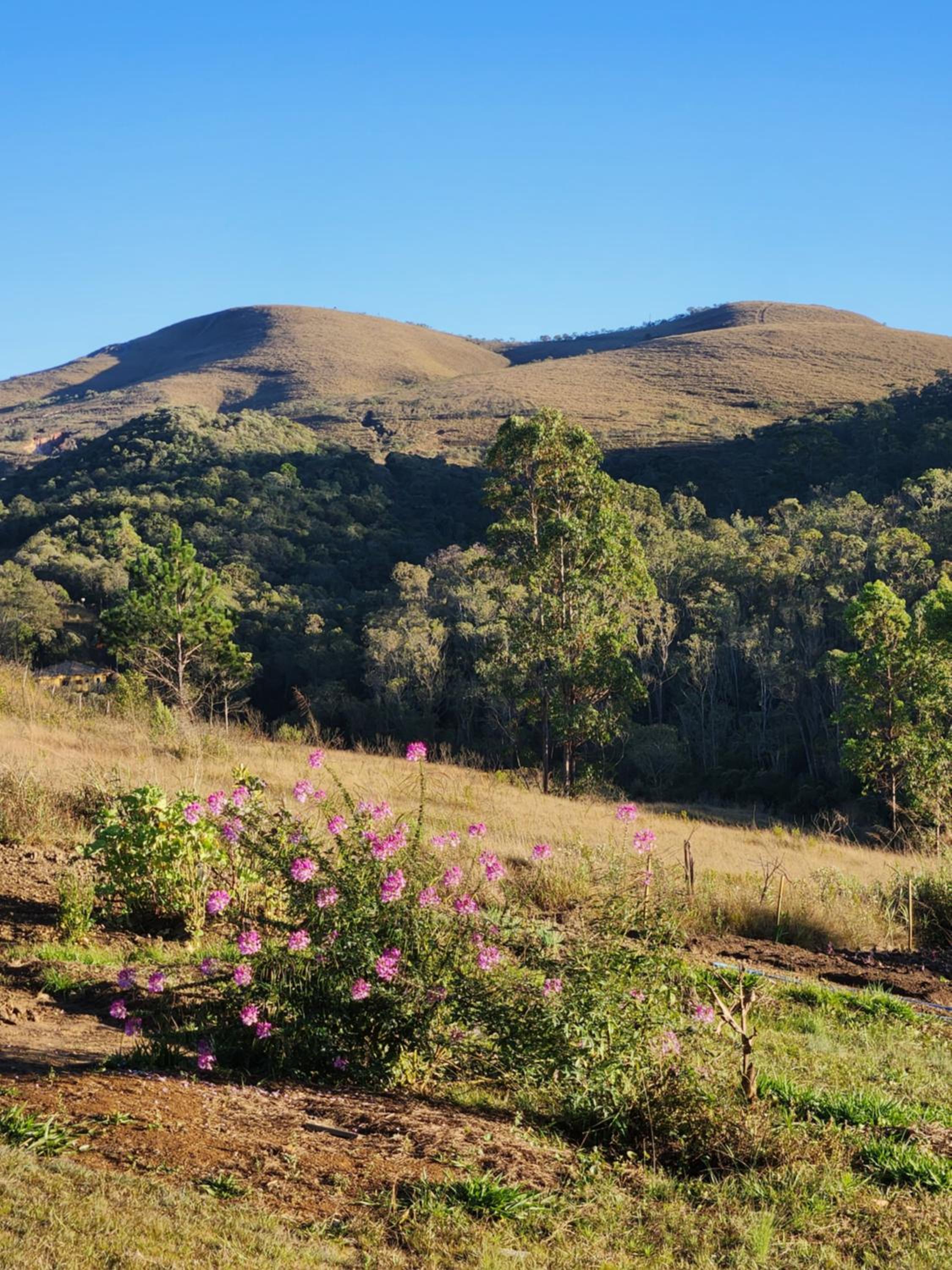 Chalés Sitío dos Ventos