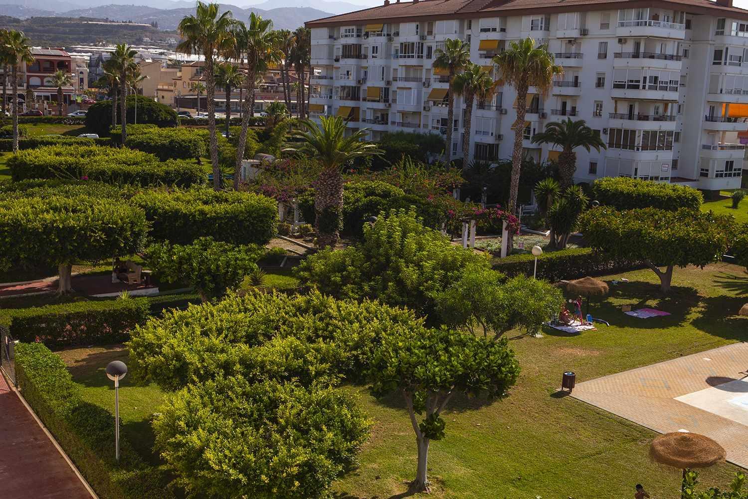 A 100m de playa piscina y todos los servicios view 4