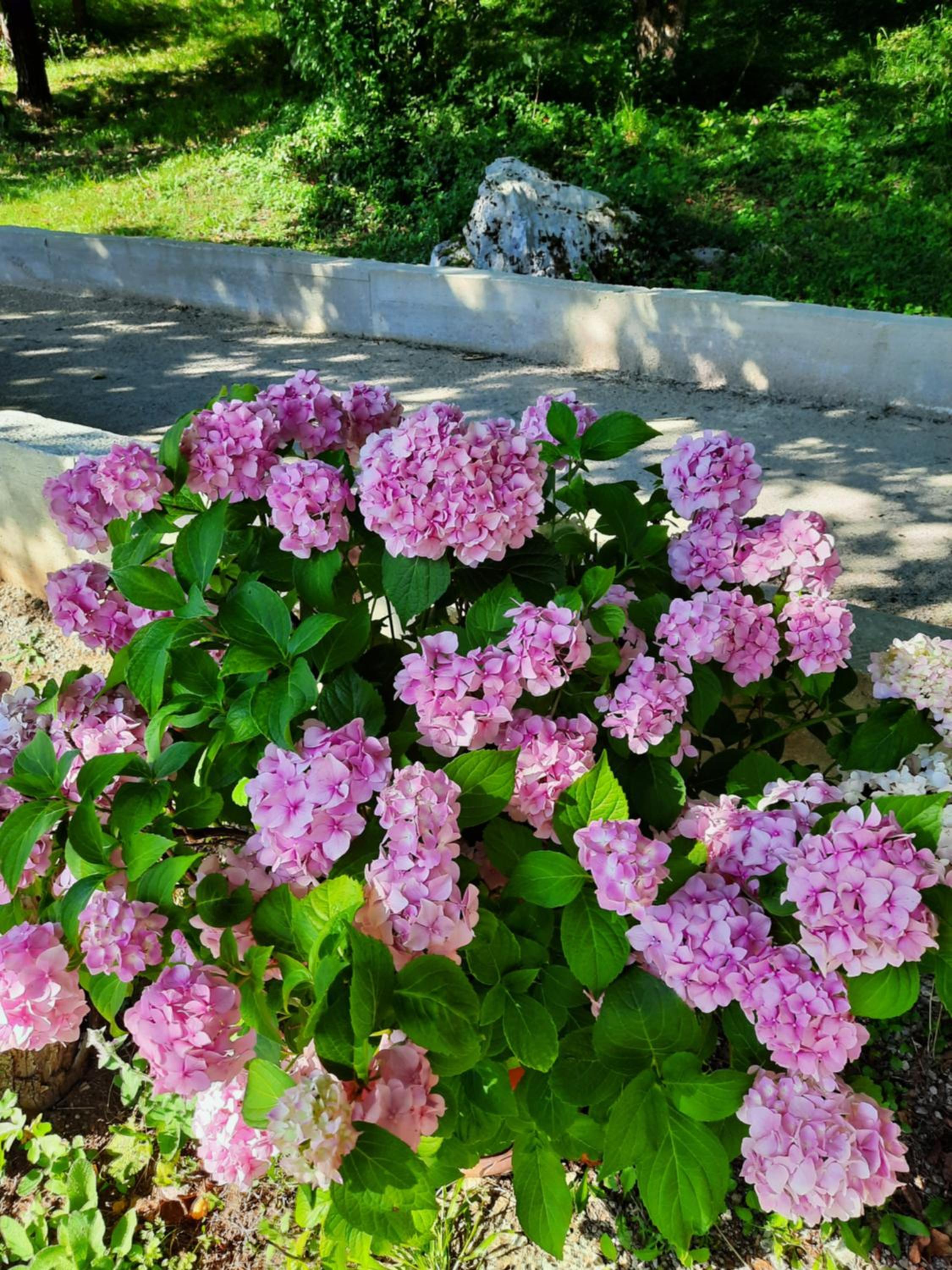 Kuća za odmor Marta view 2
