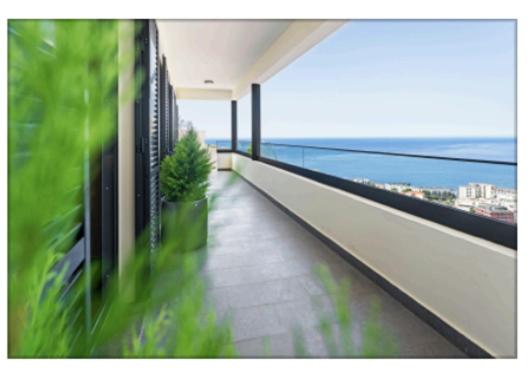 The View Madeira view 5
