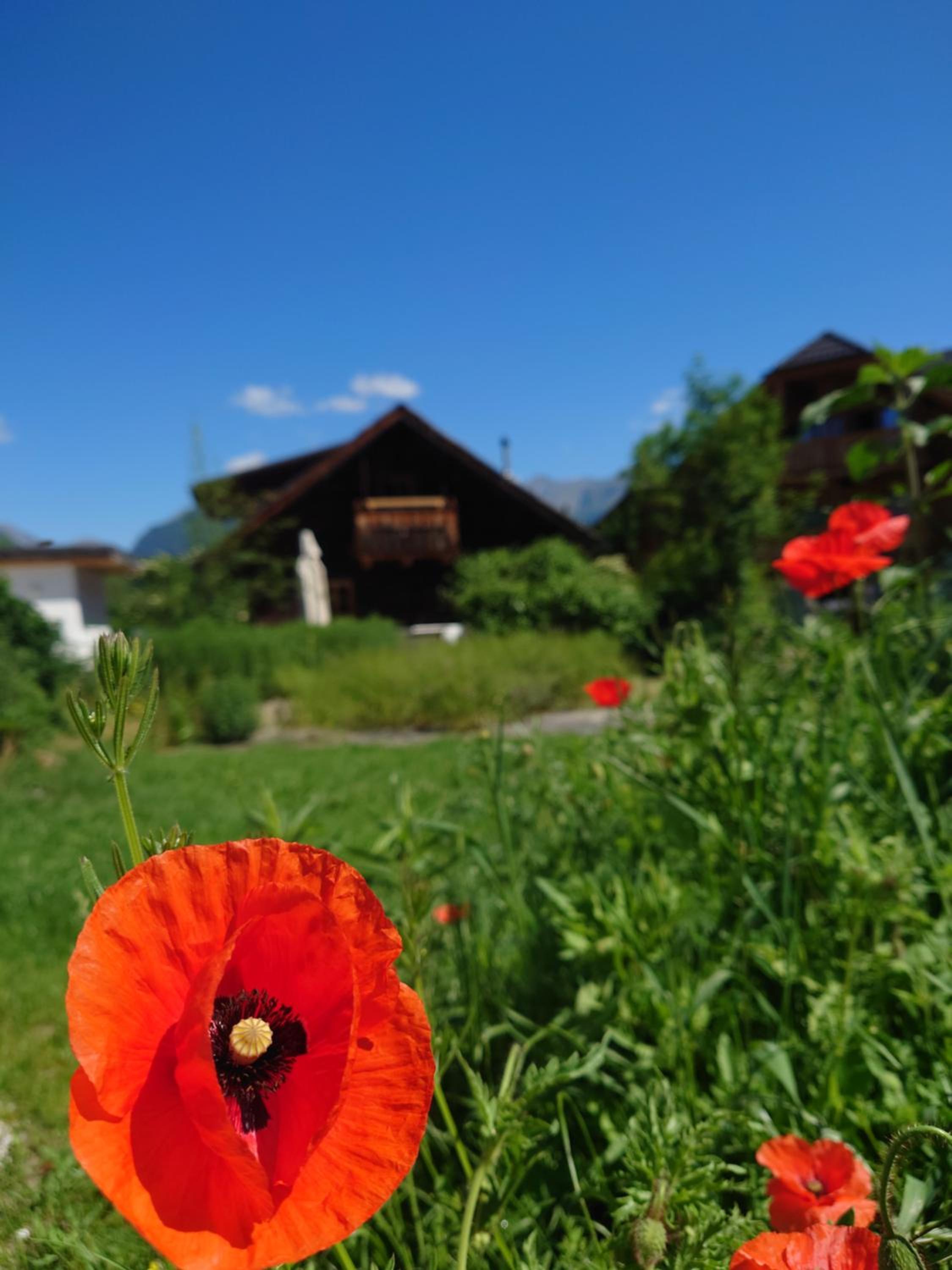 Alm Chalet Grosseck