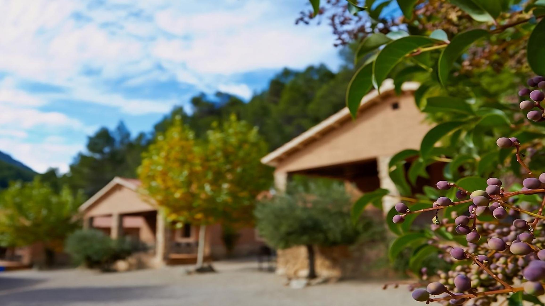 Casas rurales Batan Rio Tus view 5
