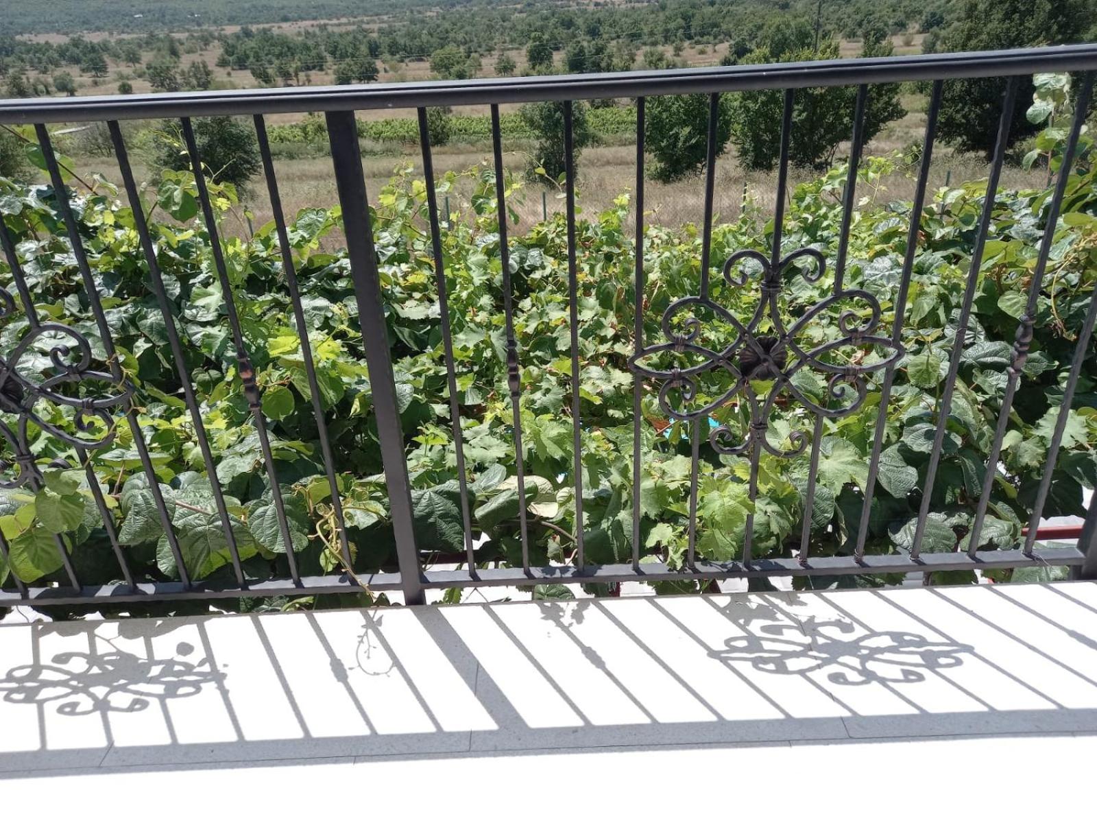 VILLA MARTINA