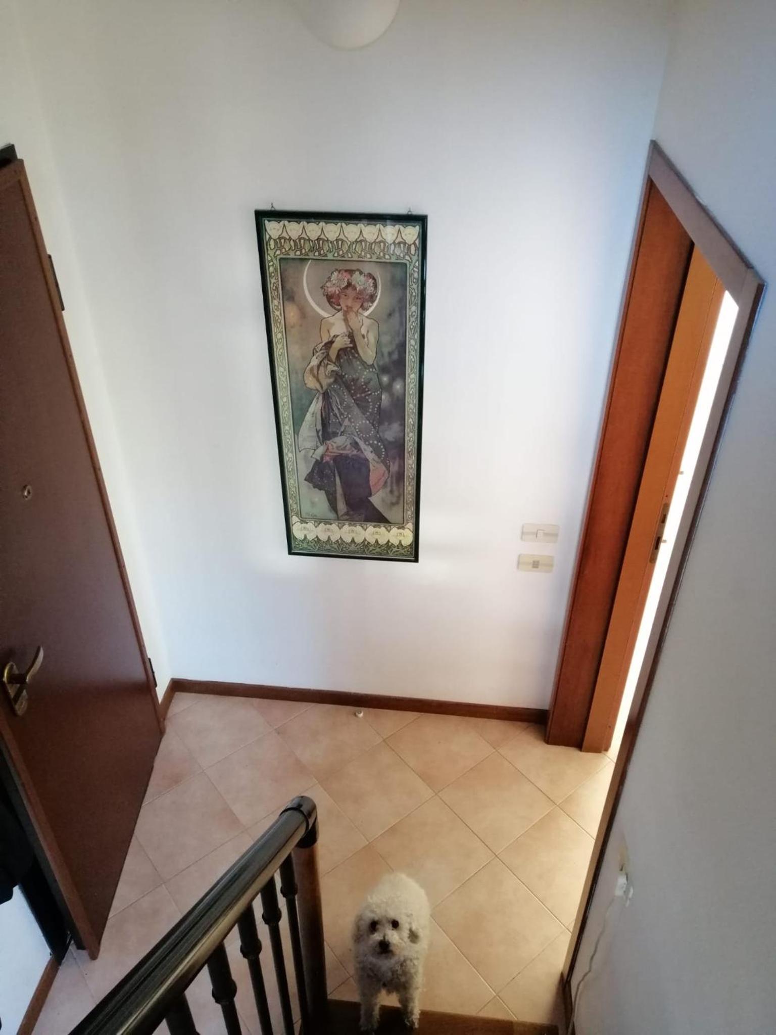 Photo 34