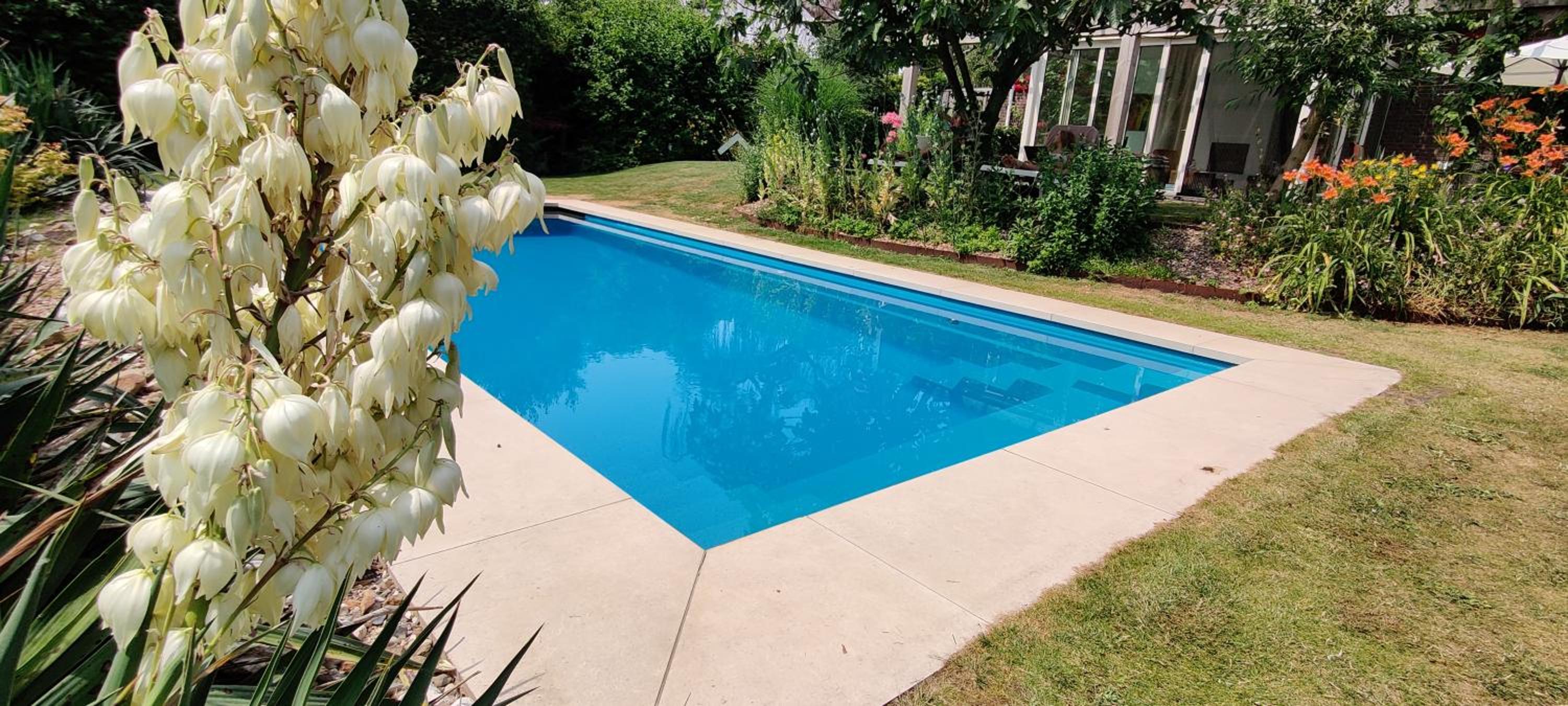 Directors room Swimmingpool Ecolodge Tilburg