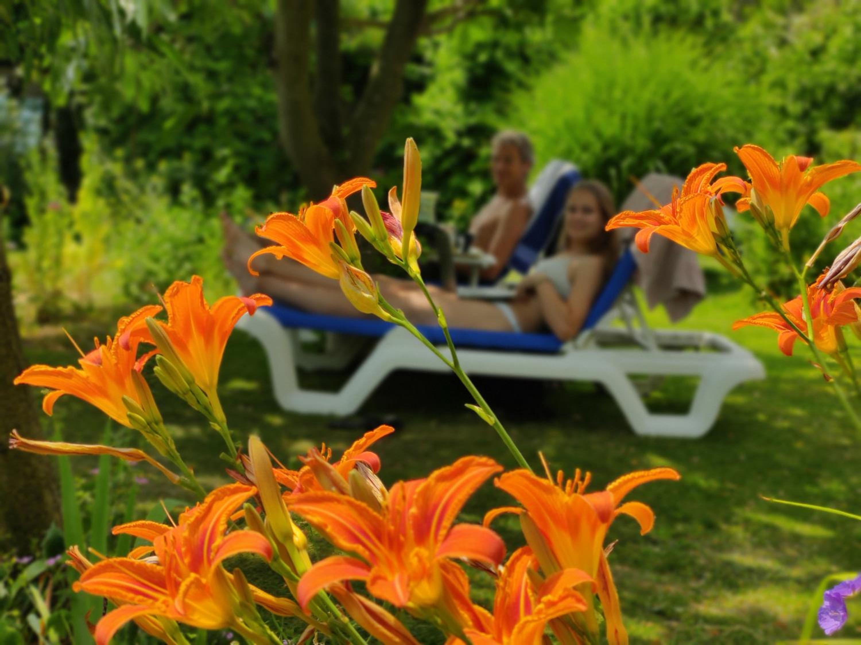 Directors room Swimmingpool Ecolodge Tilburg