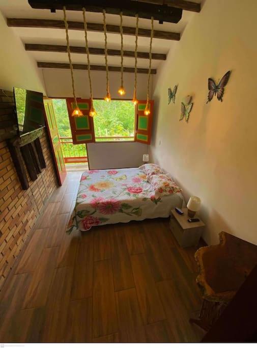 aparta estudio turístico