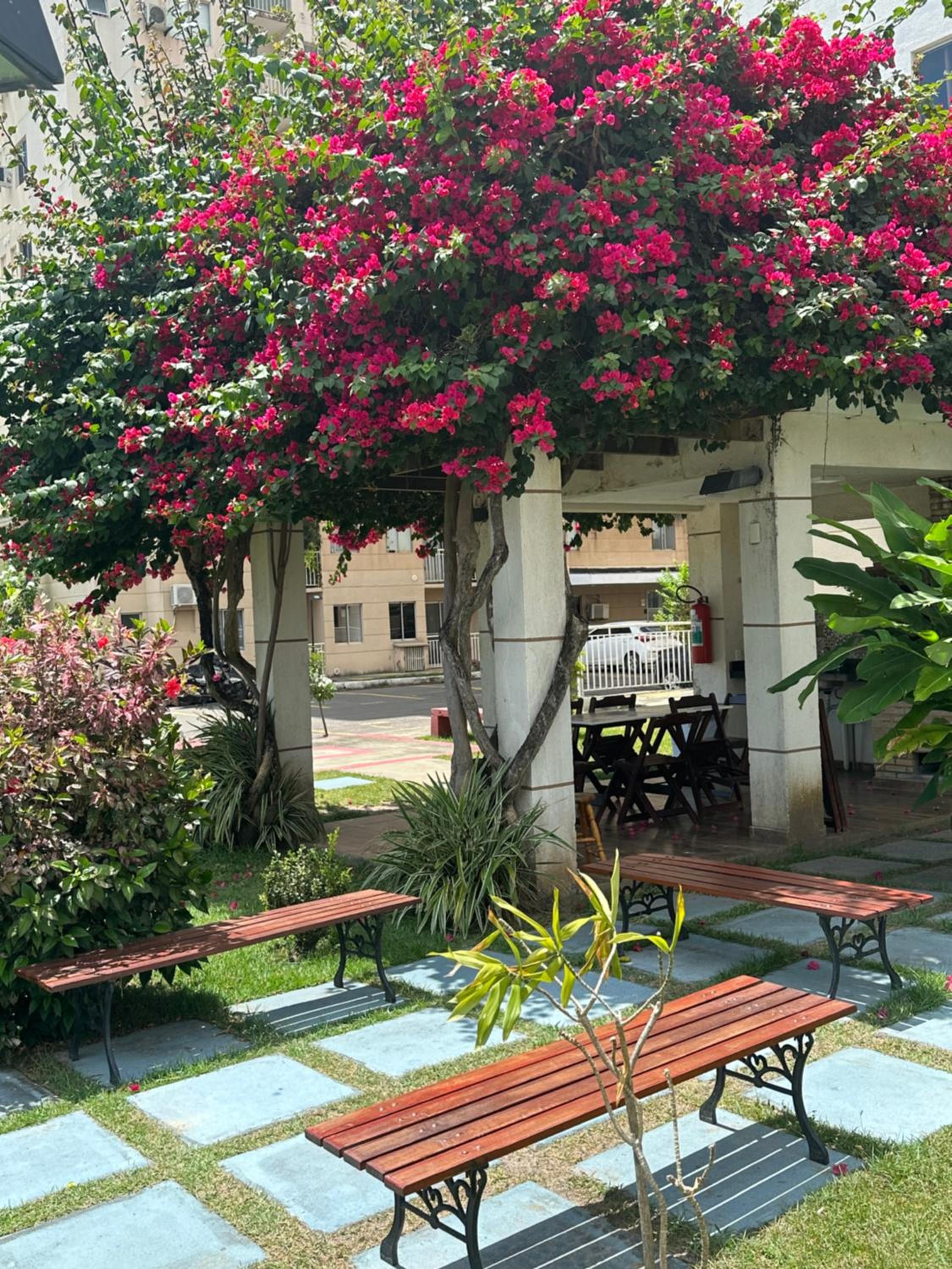 APARTAMENTO CONFORTÁVEL A 900 MTS DA PRAIA DO ARAÇAGY view 3
