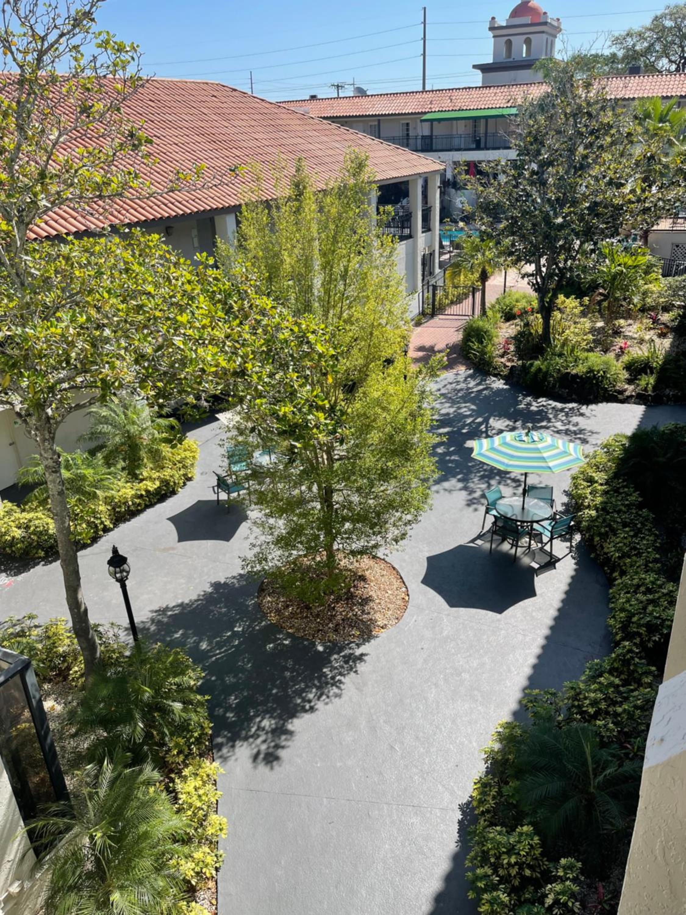 Red Roof Inn PLUS & Suites Tampa - Busch Gardens, Photo 31