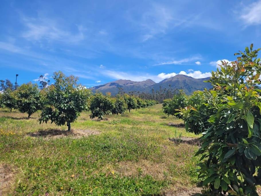 Hacienda San Mateo