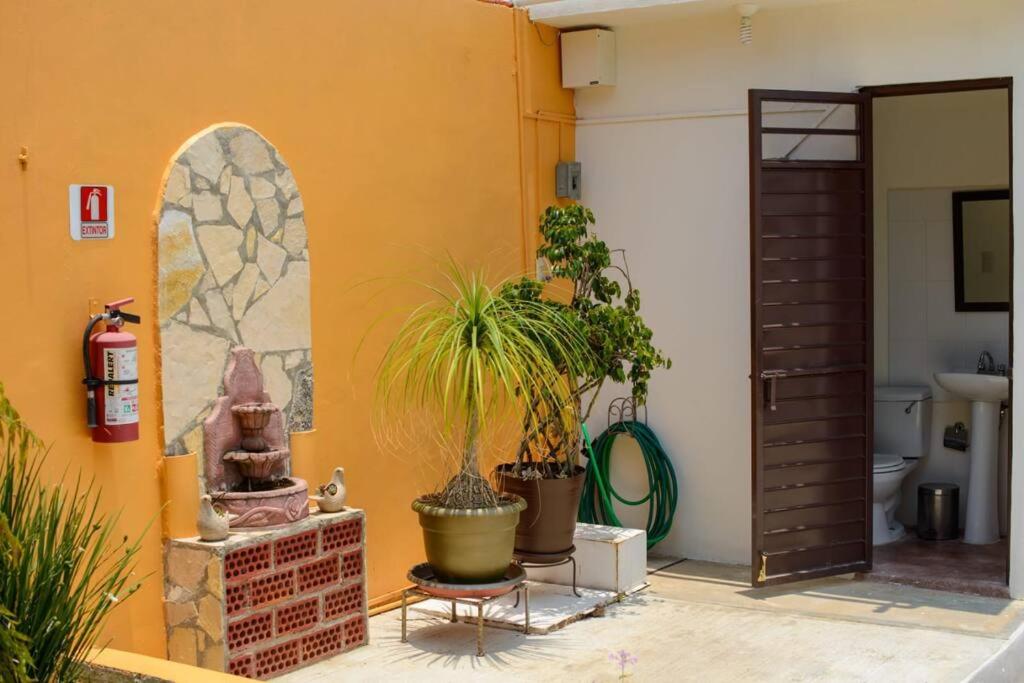 Alma y Paz. Cabaña & Casa