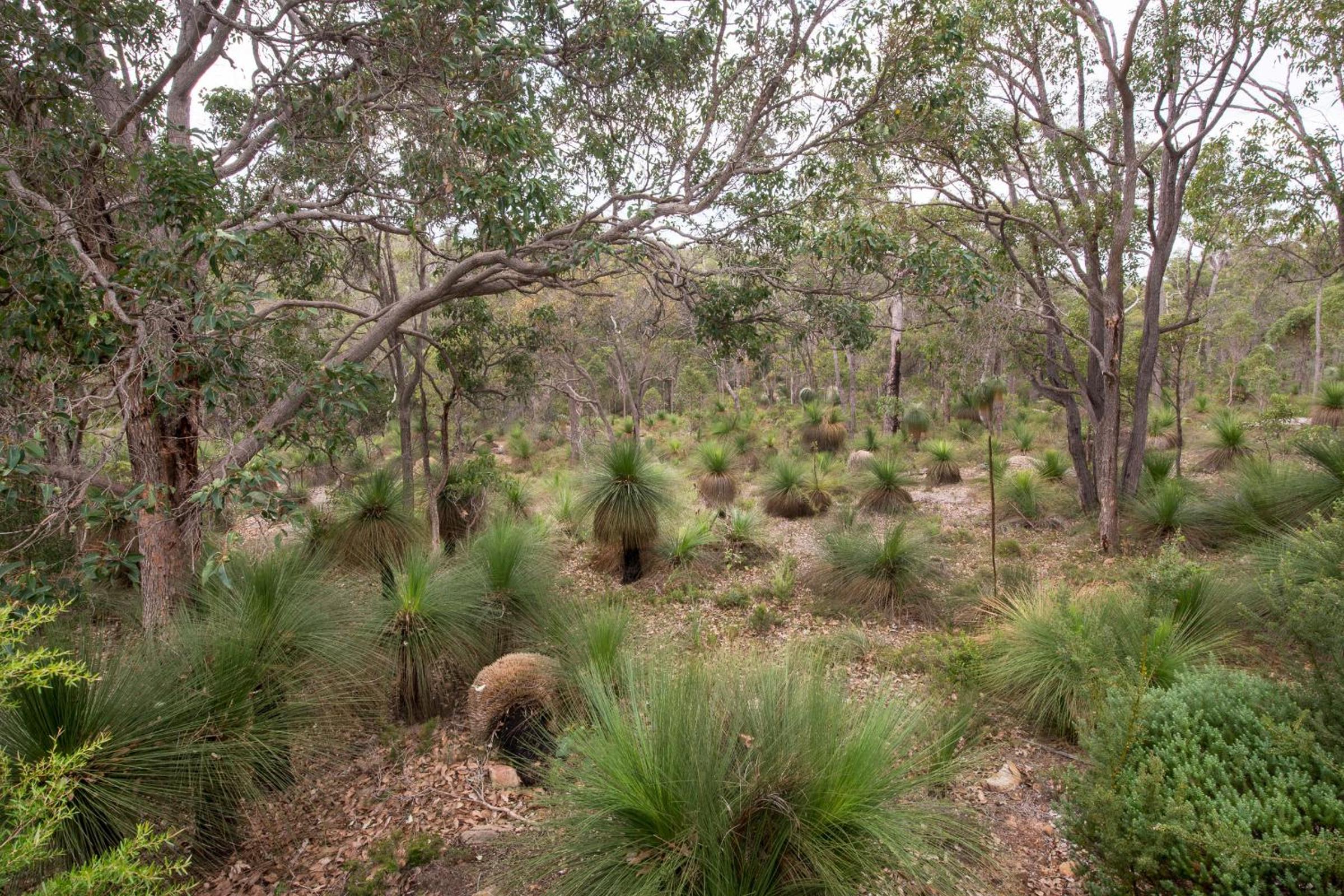 Killara I Private Properties