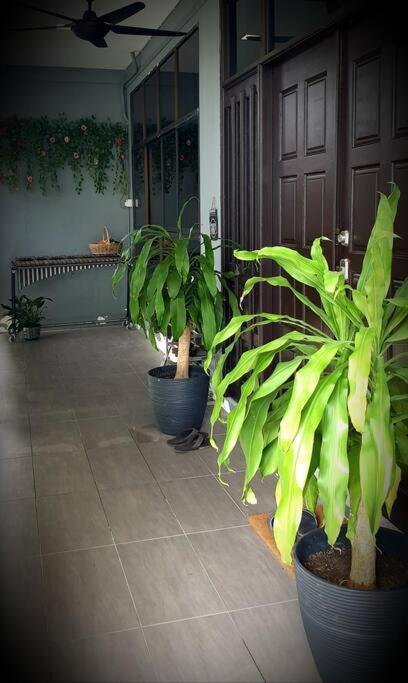 Family Holiday House @Civic Centre Dewan Suarah photo 4