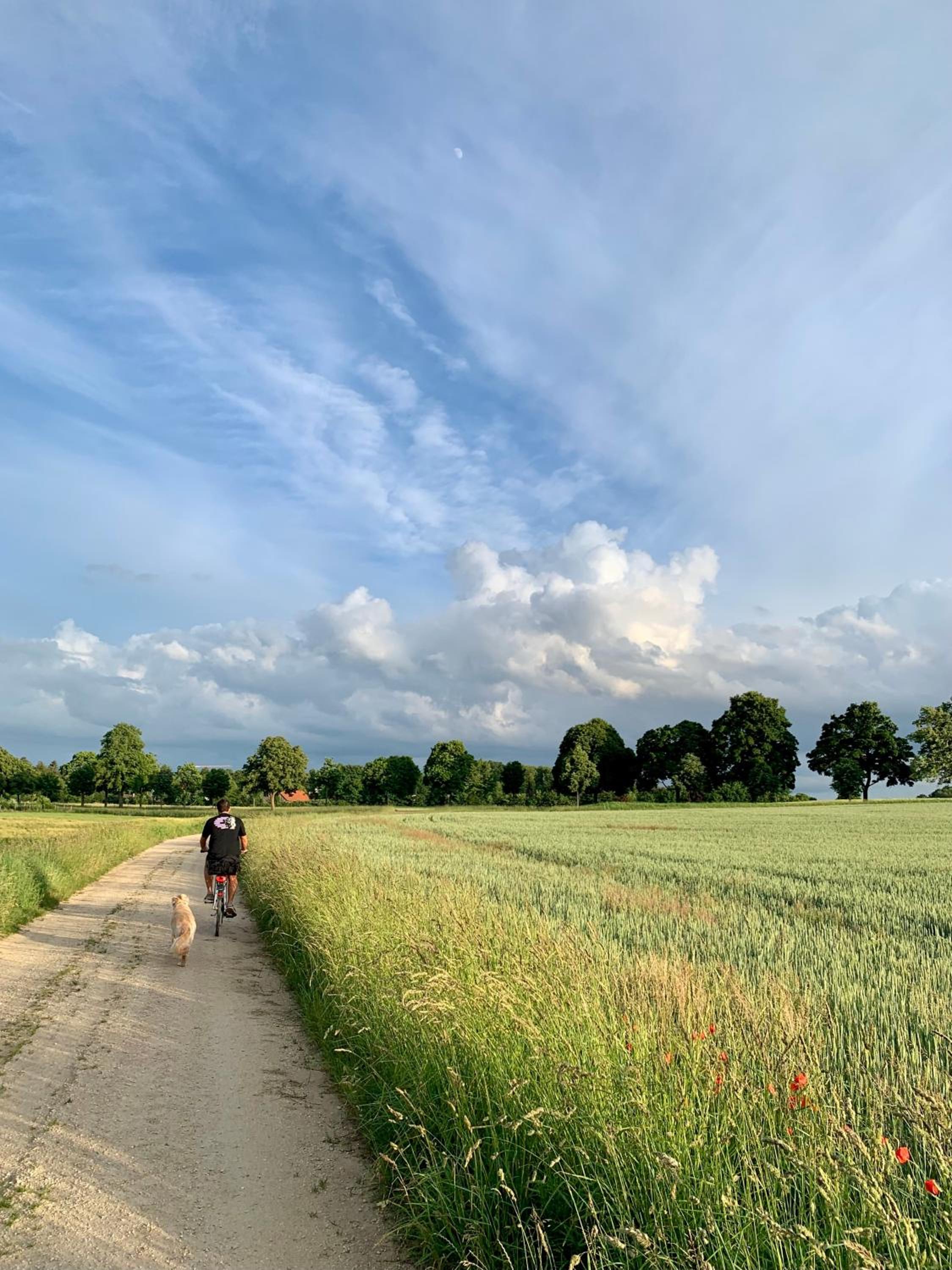 Wohnen im Wasserschloss Sandizell