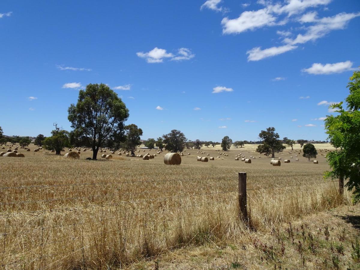 Meander Retreat - King Suite with rural views