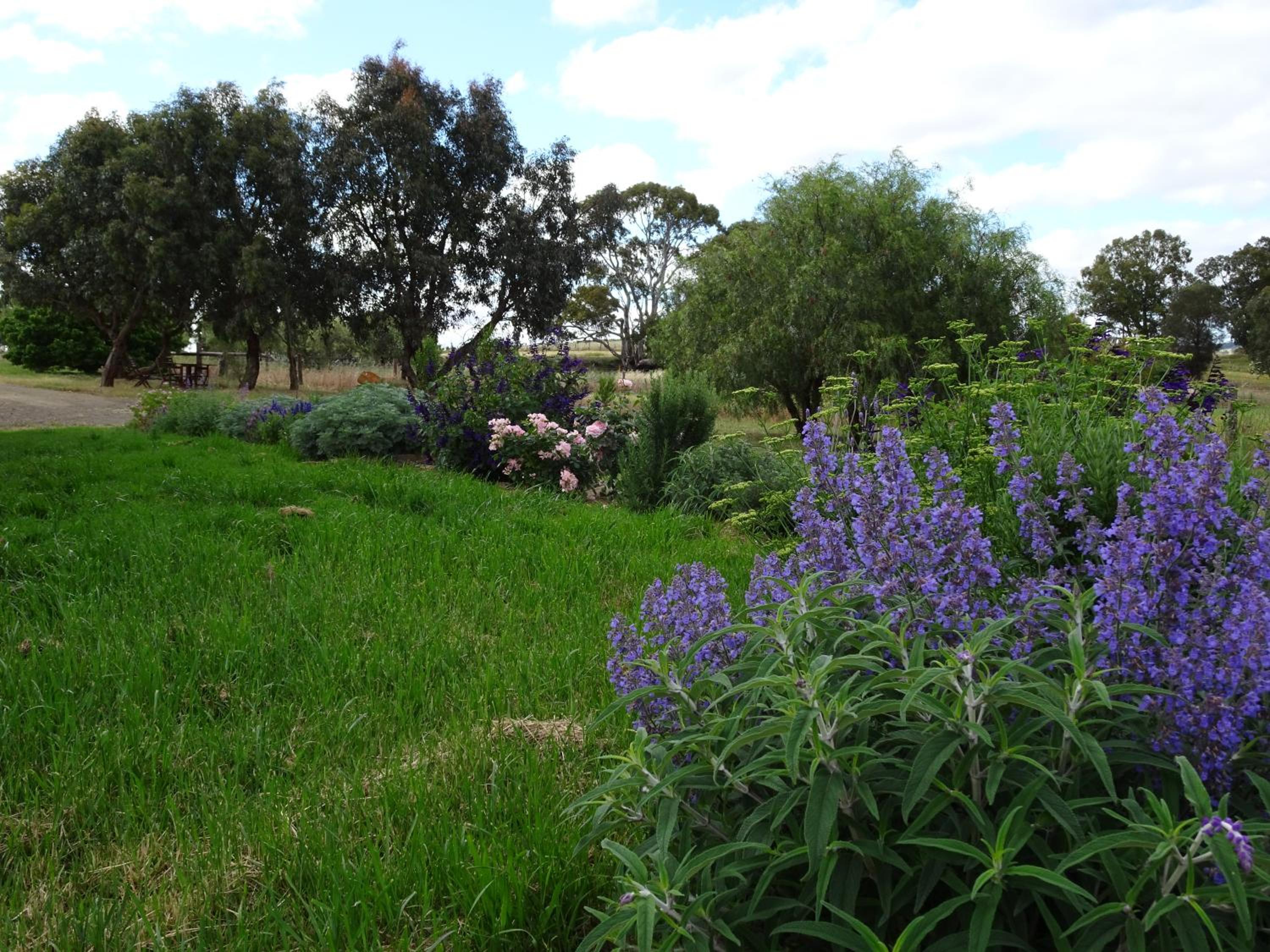 Meander Retreat - King Suite with rural views