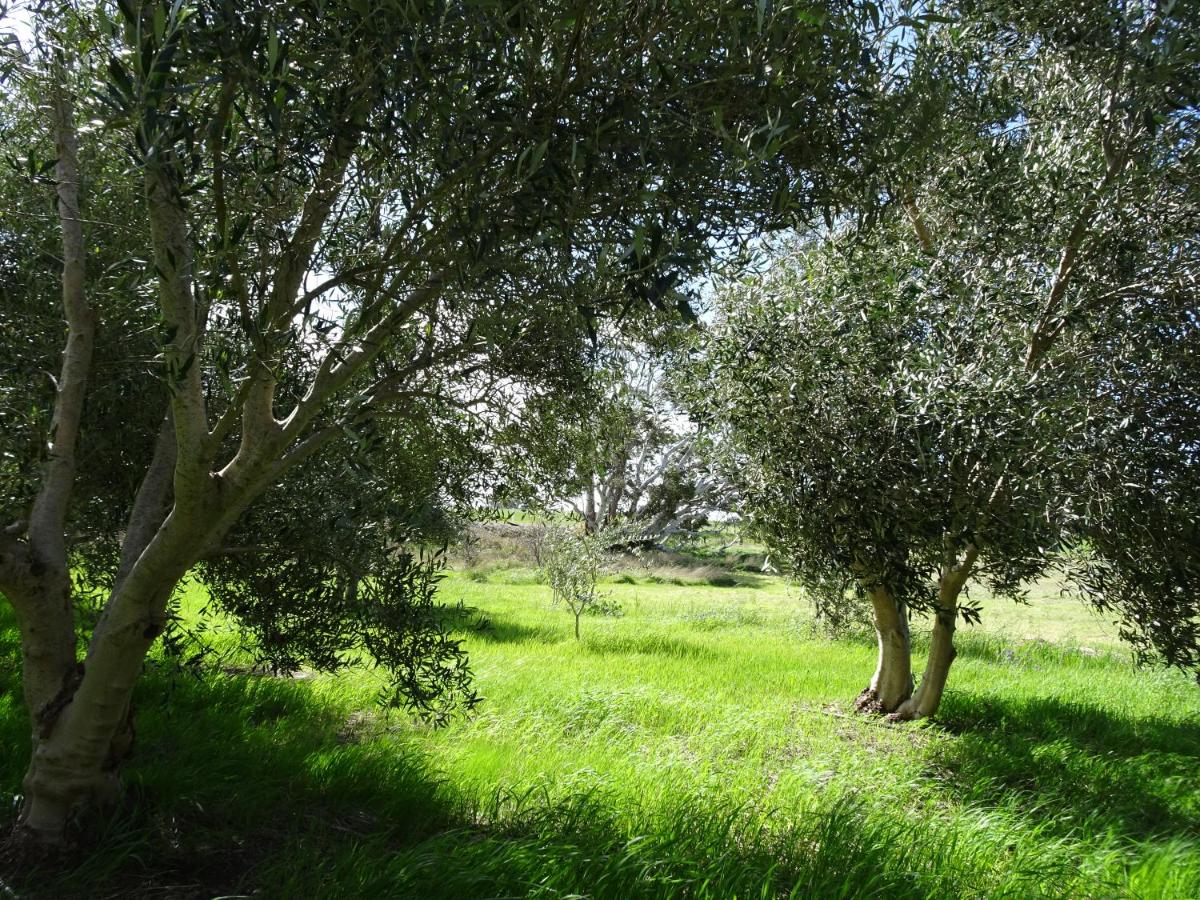 Meander Retreat - King Suite with rural views