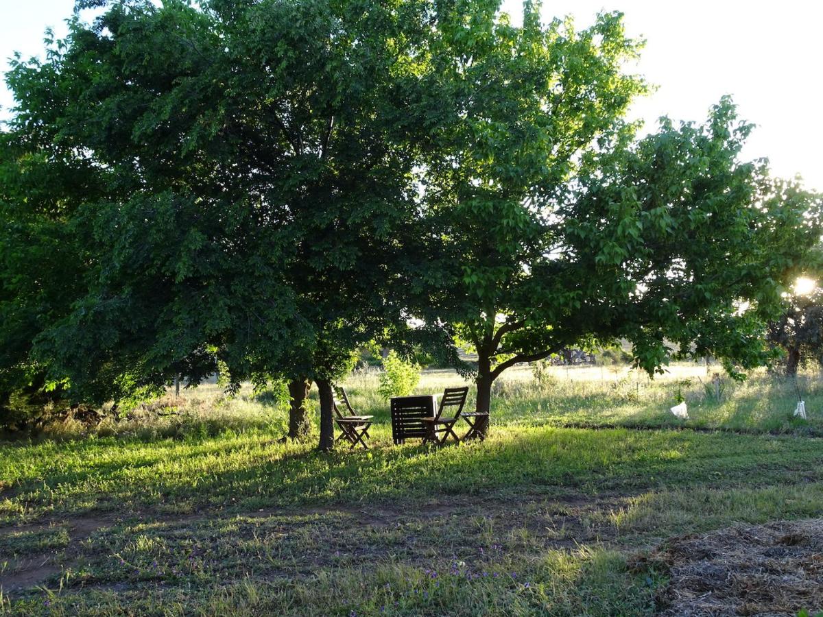 Meander Retreat - King Suite with rural views