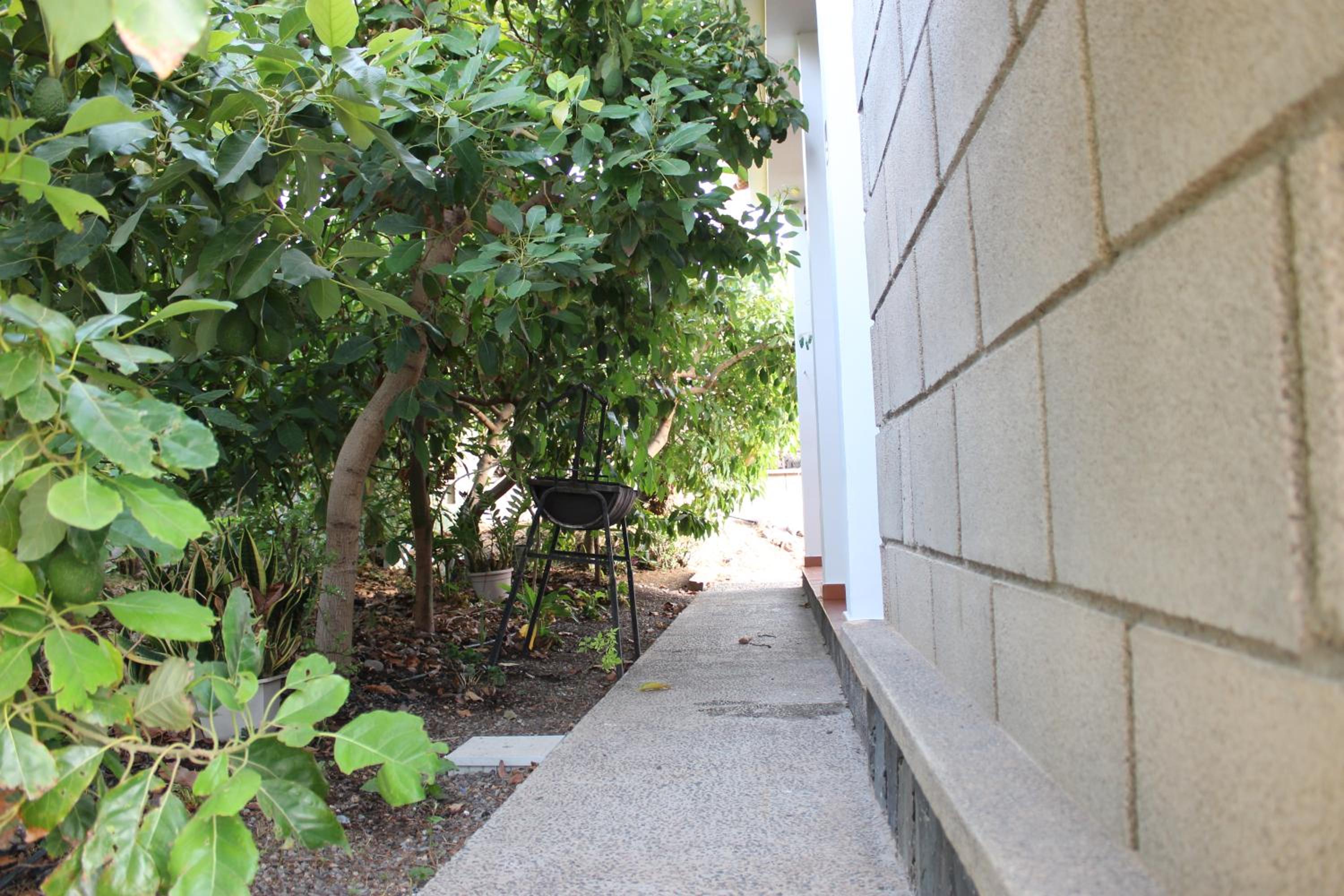 Casita Lily