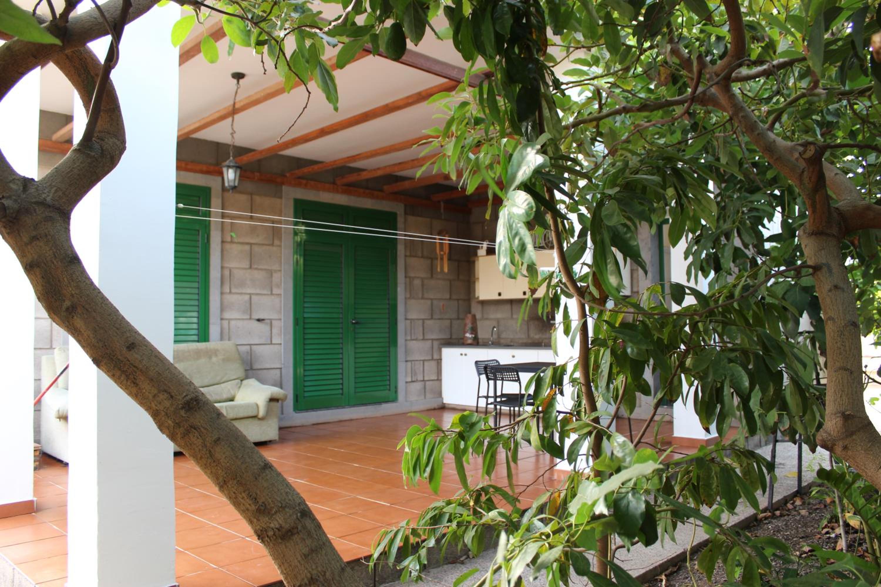 Casita Lily