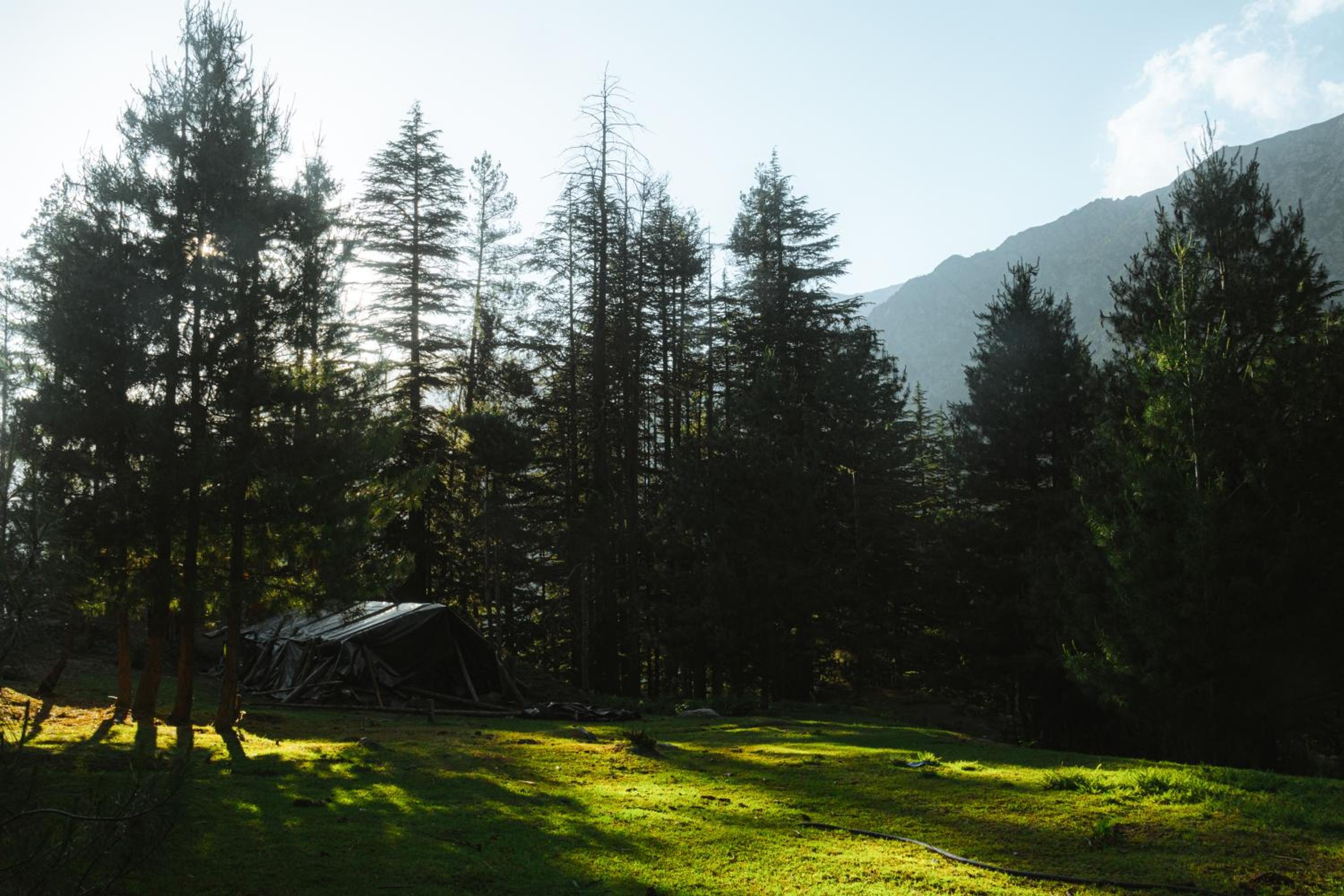 Shivay Homestay