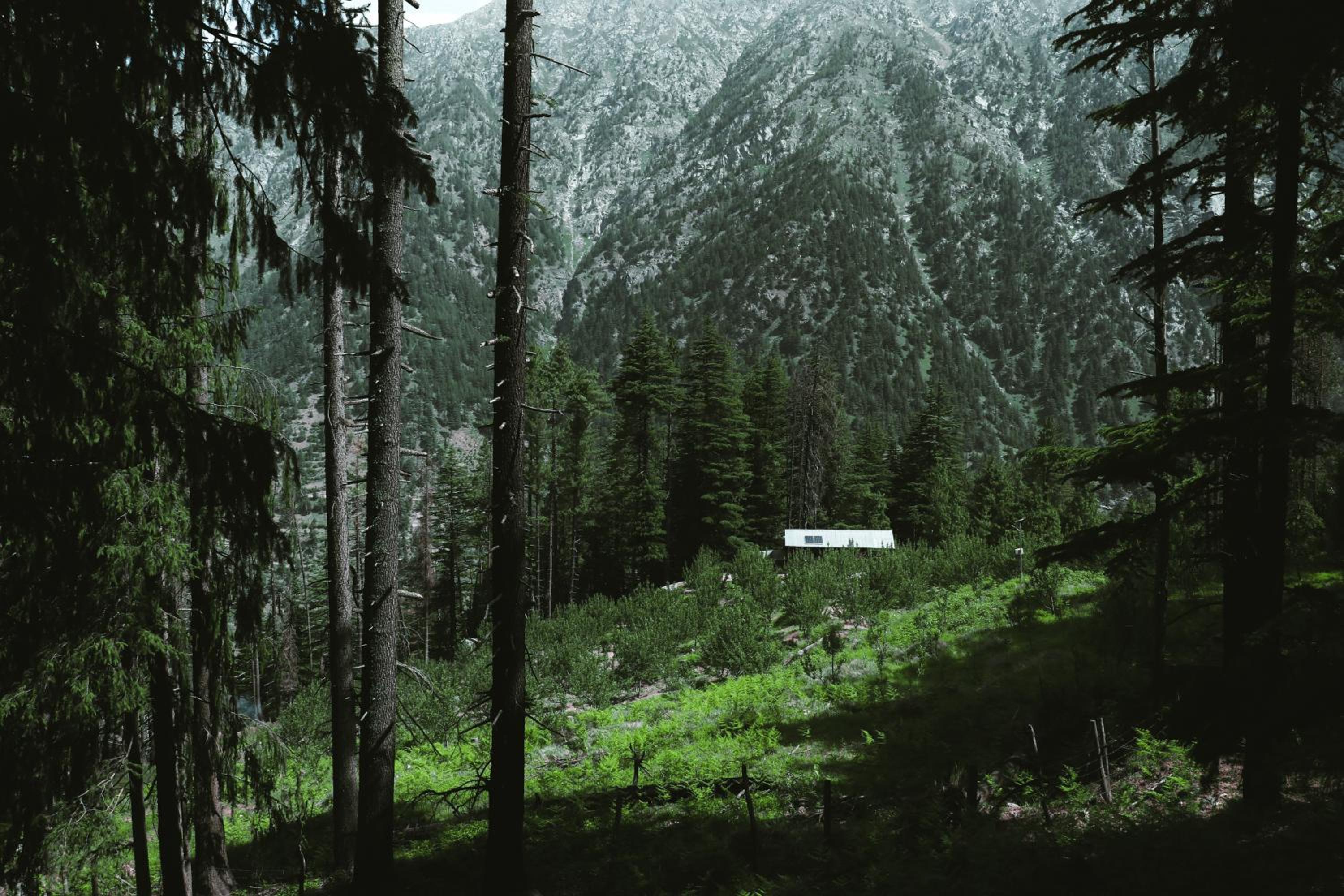 Shivay Homestay