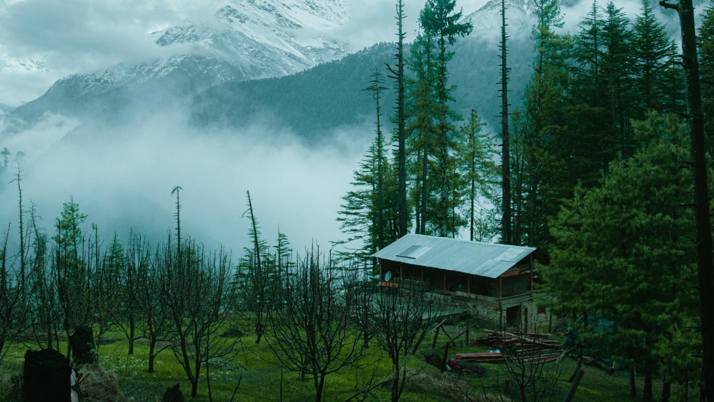 Shivay Homestay