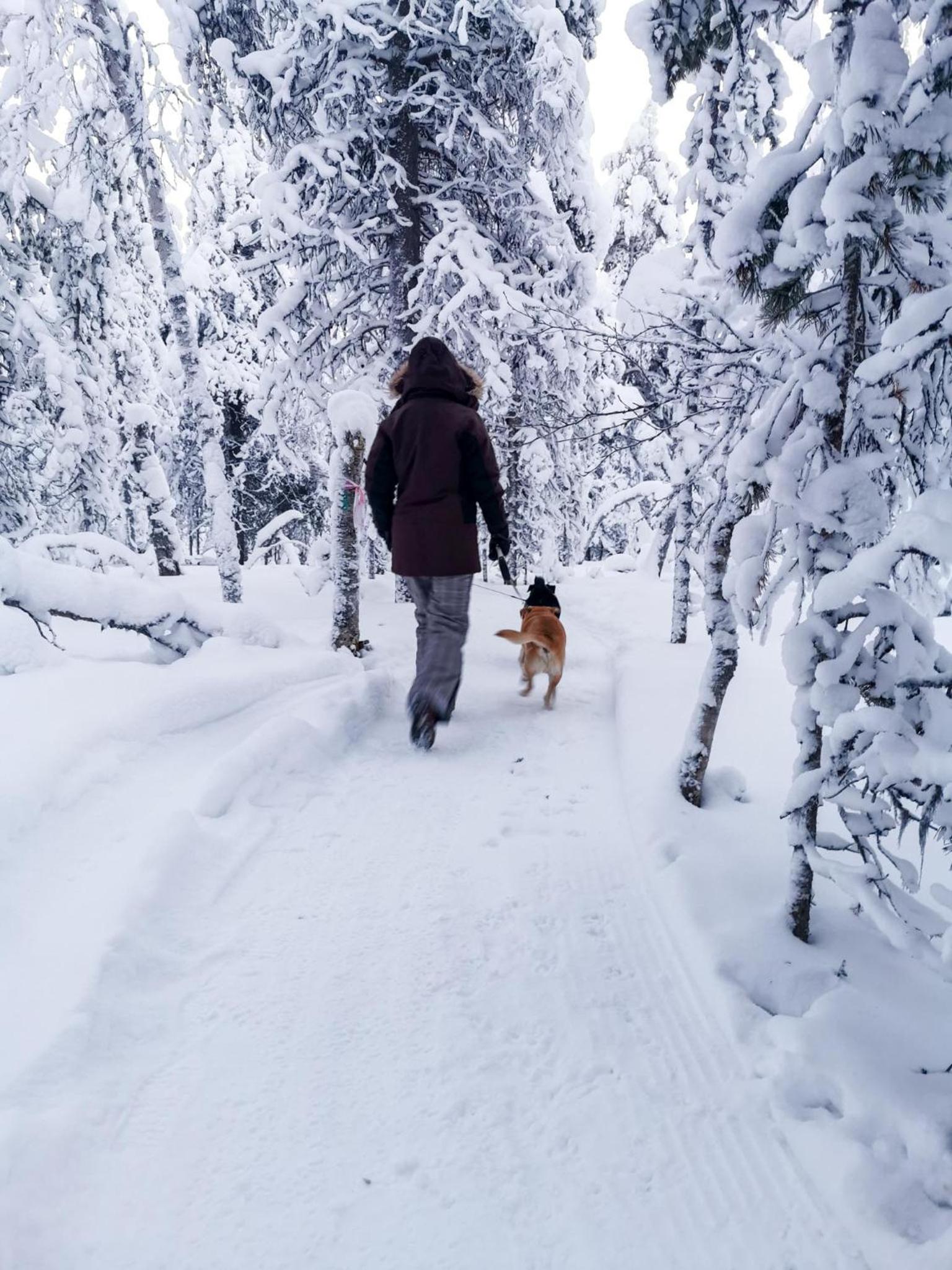 Luttotupa