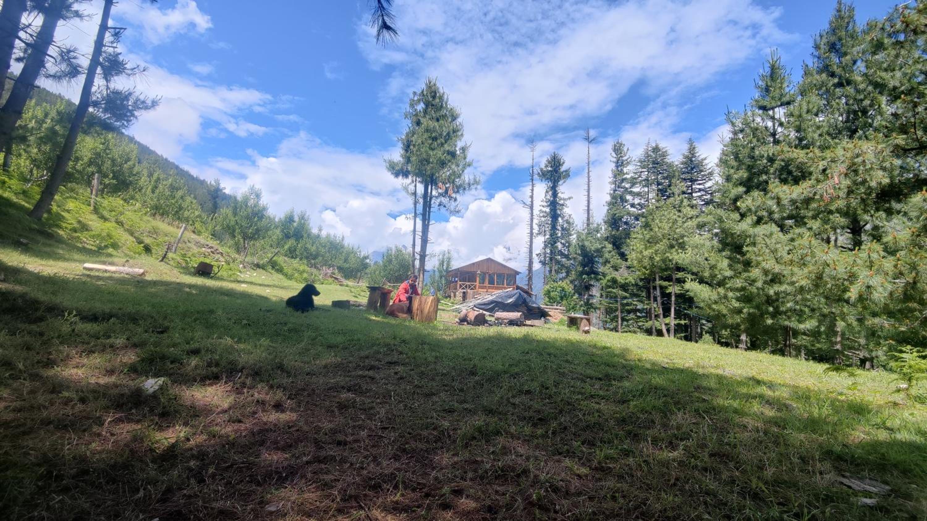 Shivay Homestay