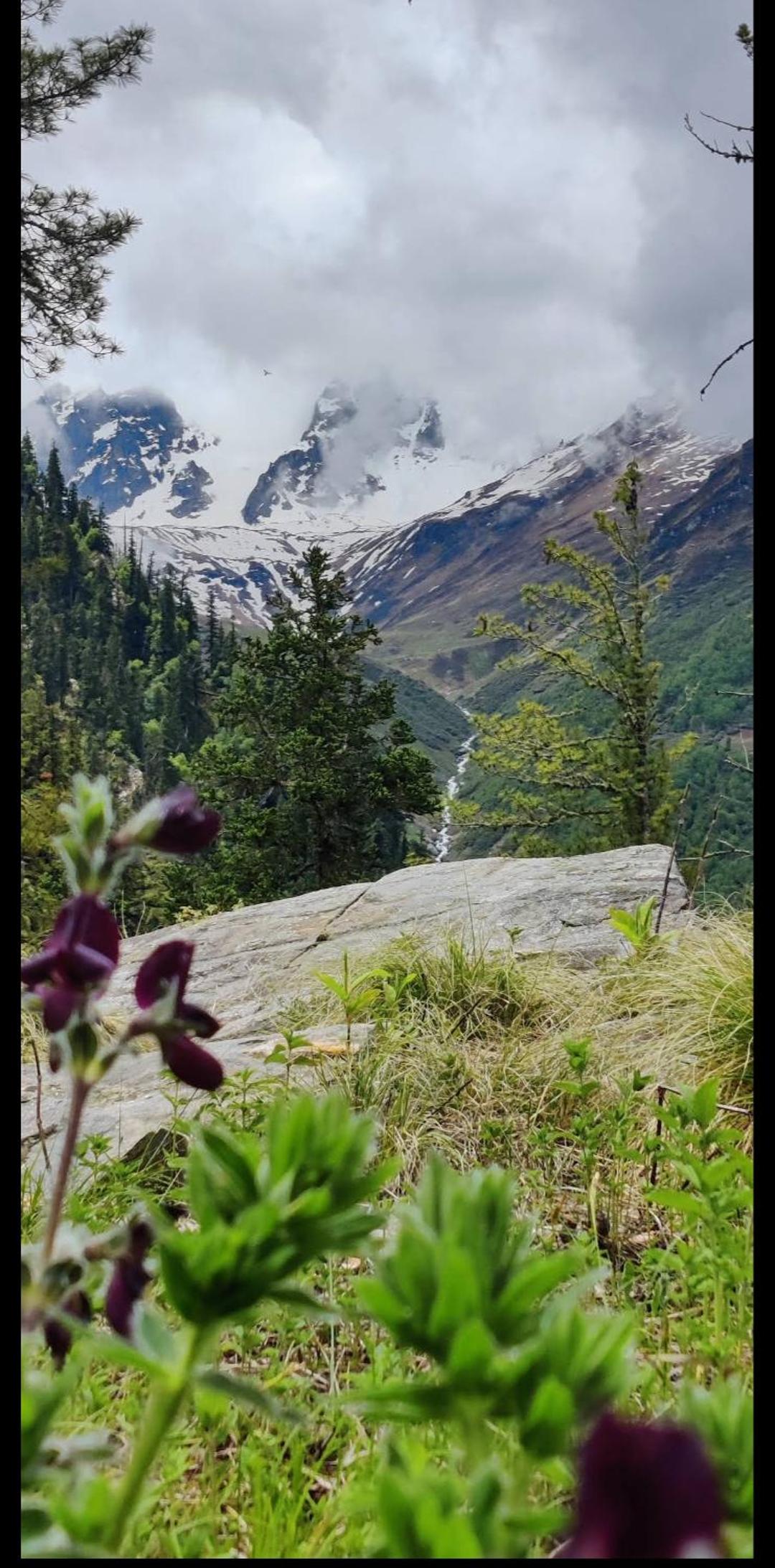 Shivay Homestay