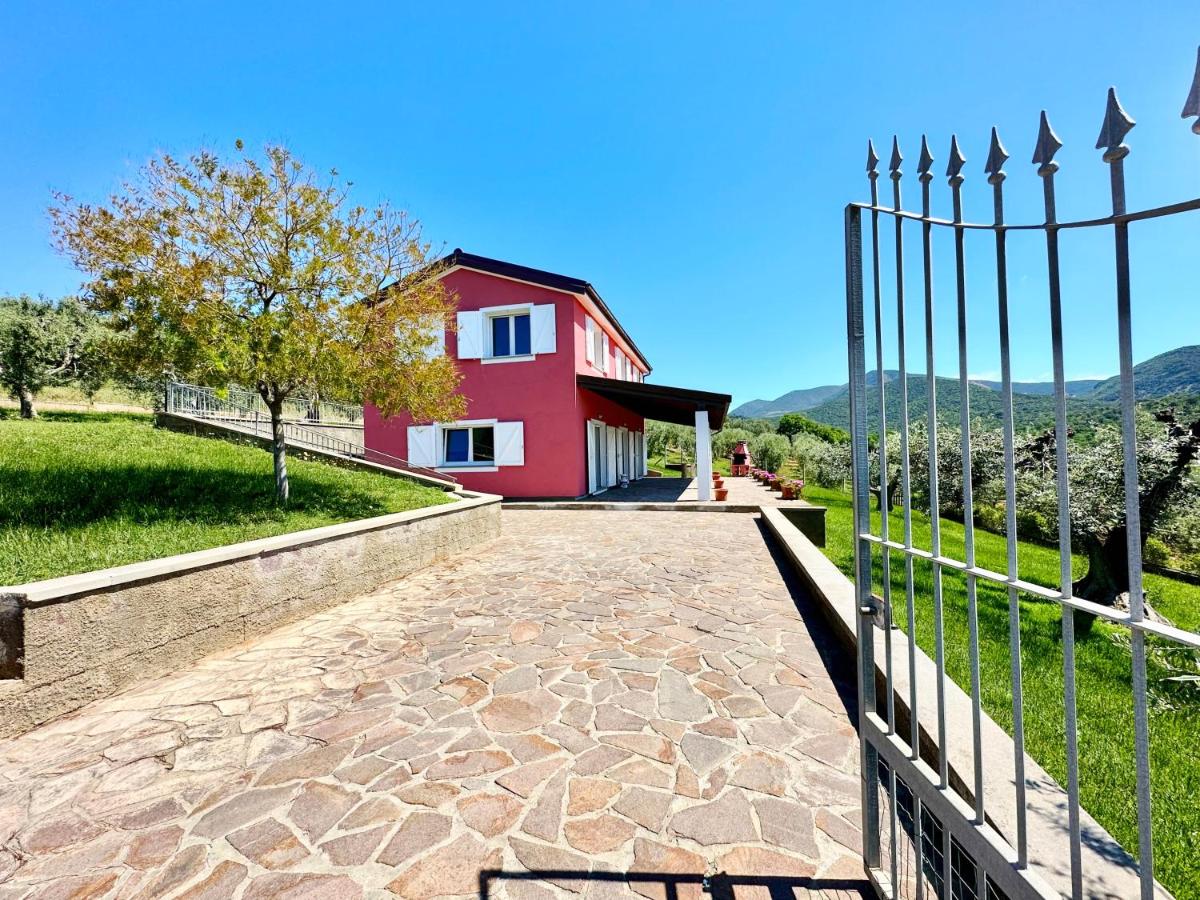 Villa San Bartolo photo 2