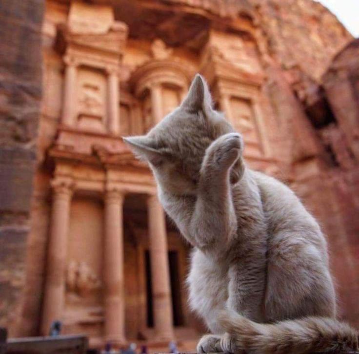 Extra Traveller