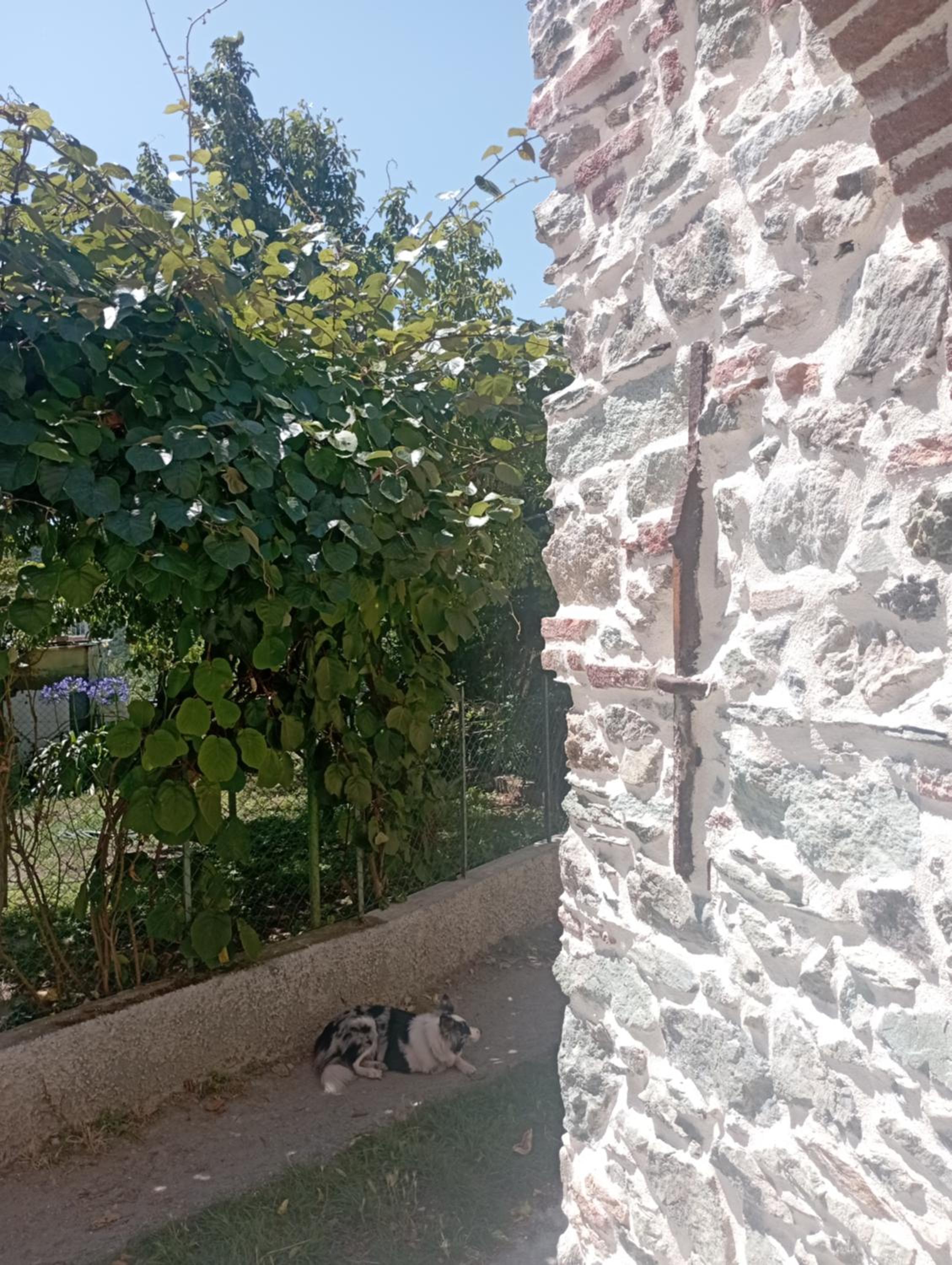 LA TANA DELLA VOLPETTA - Bed & Breakfast view 2