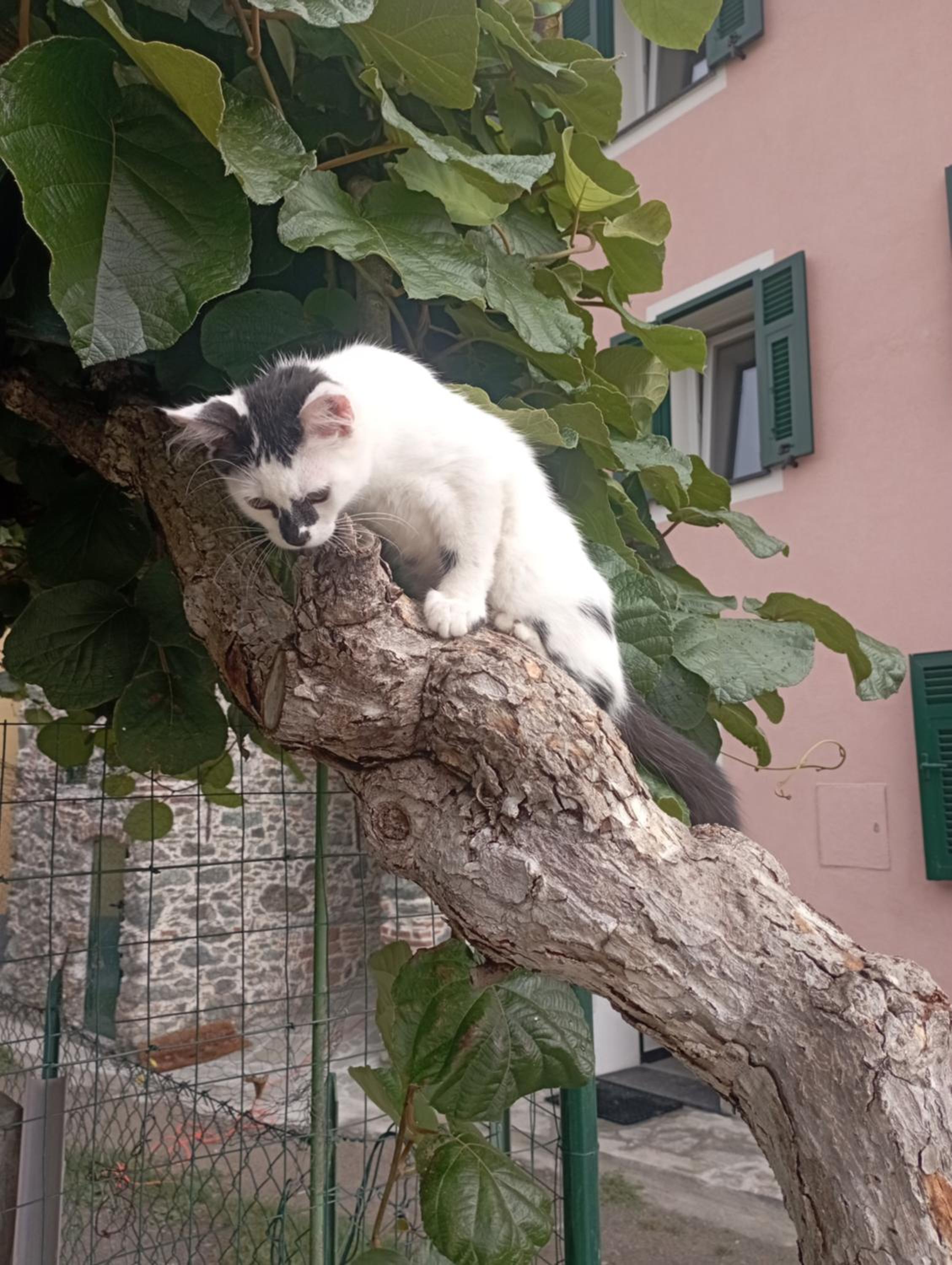 LA TANA DELLA VOLPETTA - Bed & Breakfast view 5