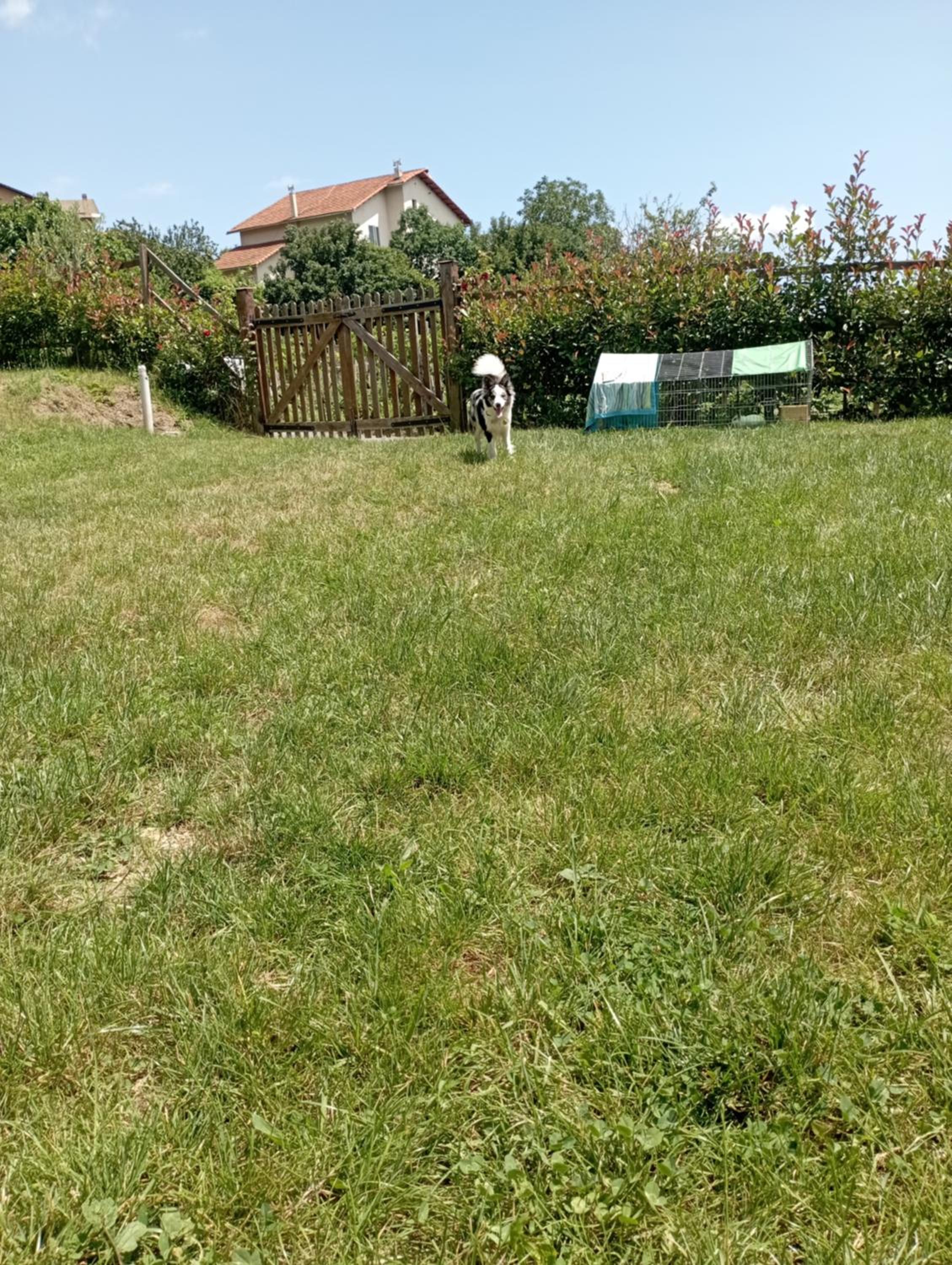 Photo 33