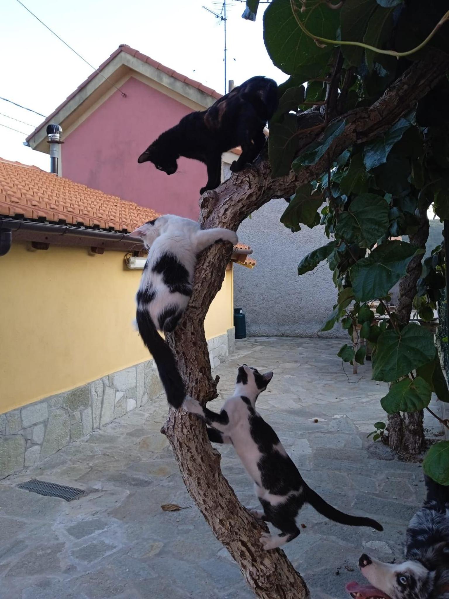 Photo 35