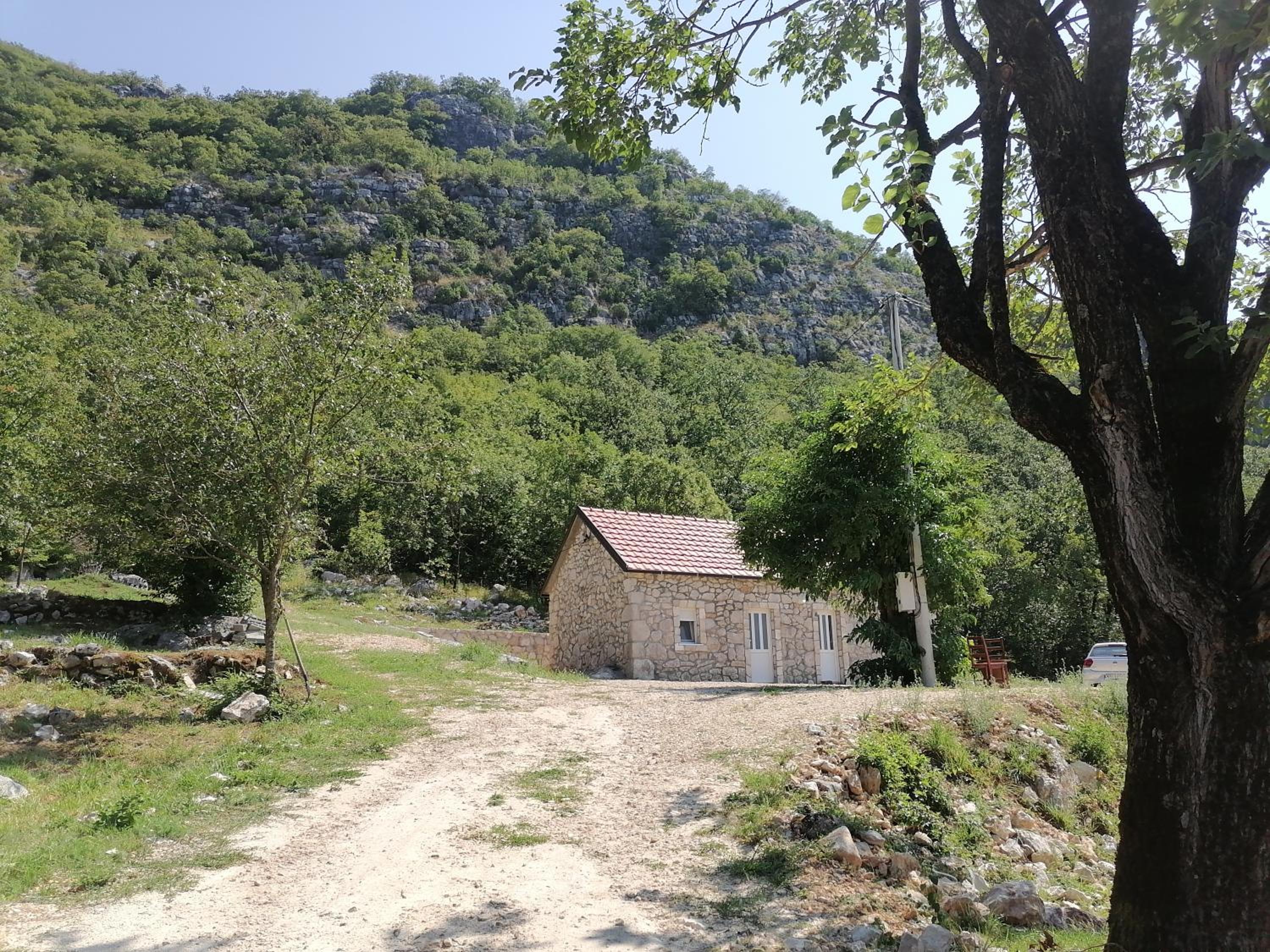 Photo 10
