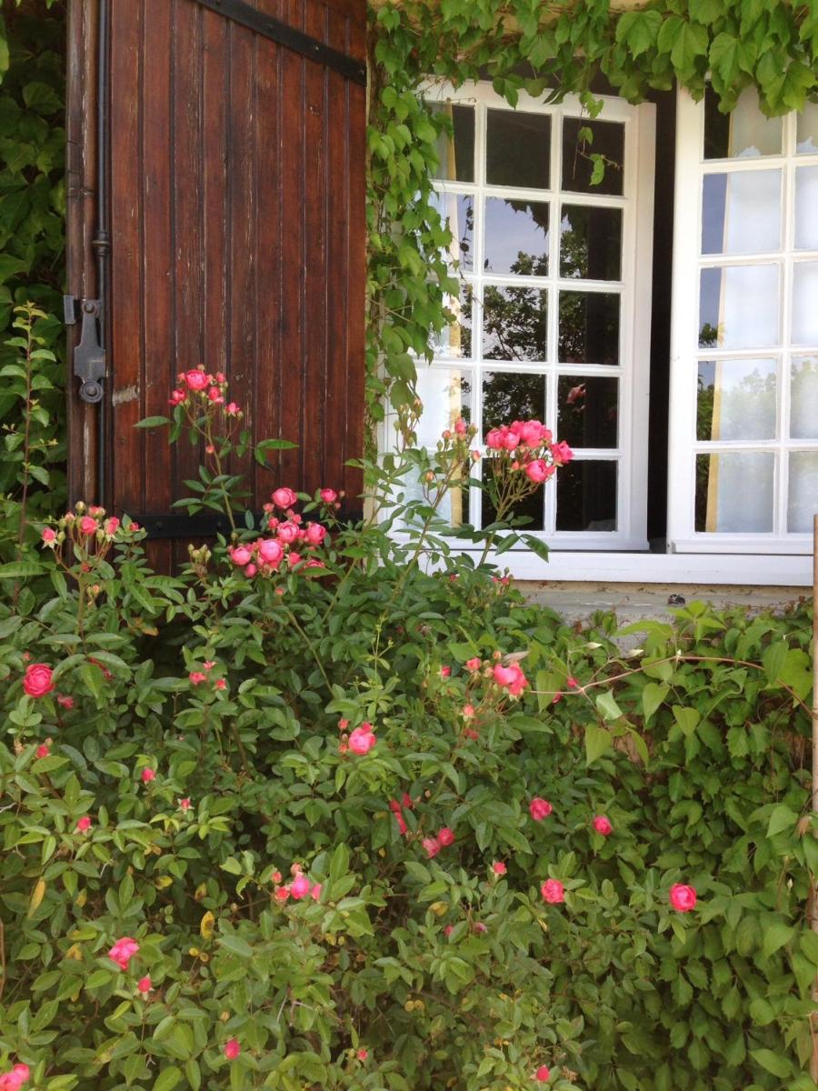 Photo 51