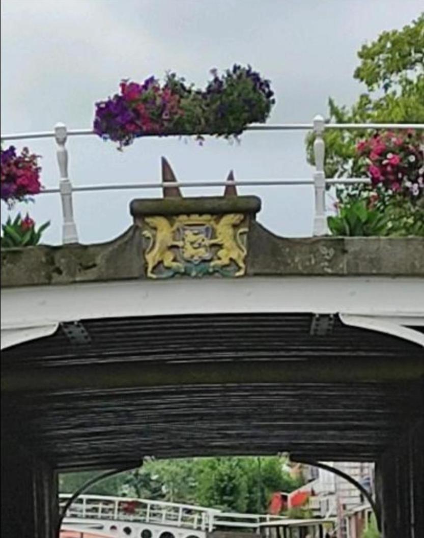 Photo 17
