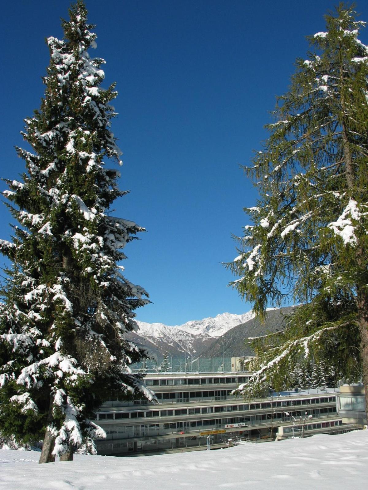 Residence Artuik Appartamenti Solandra view 2