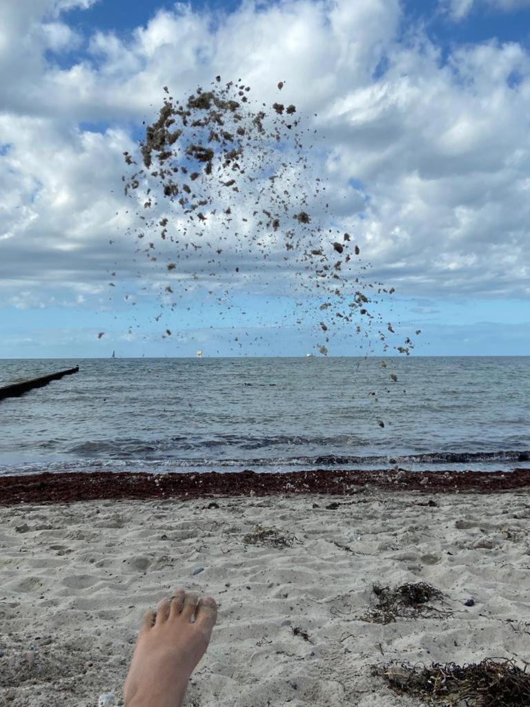 Ostsee-Ferienwohnung-Lipsia