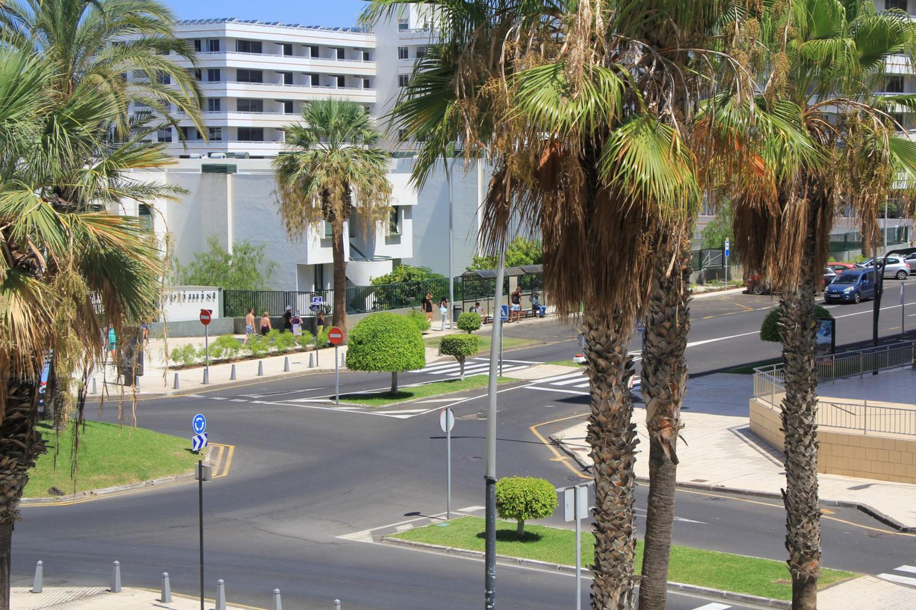 Las Americas - 2 bedrooms - Flayla-A