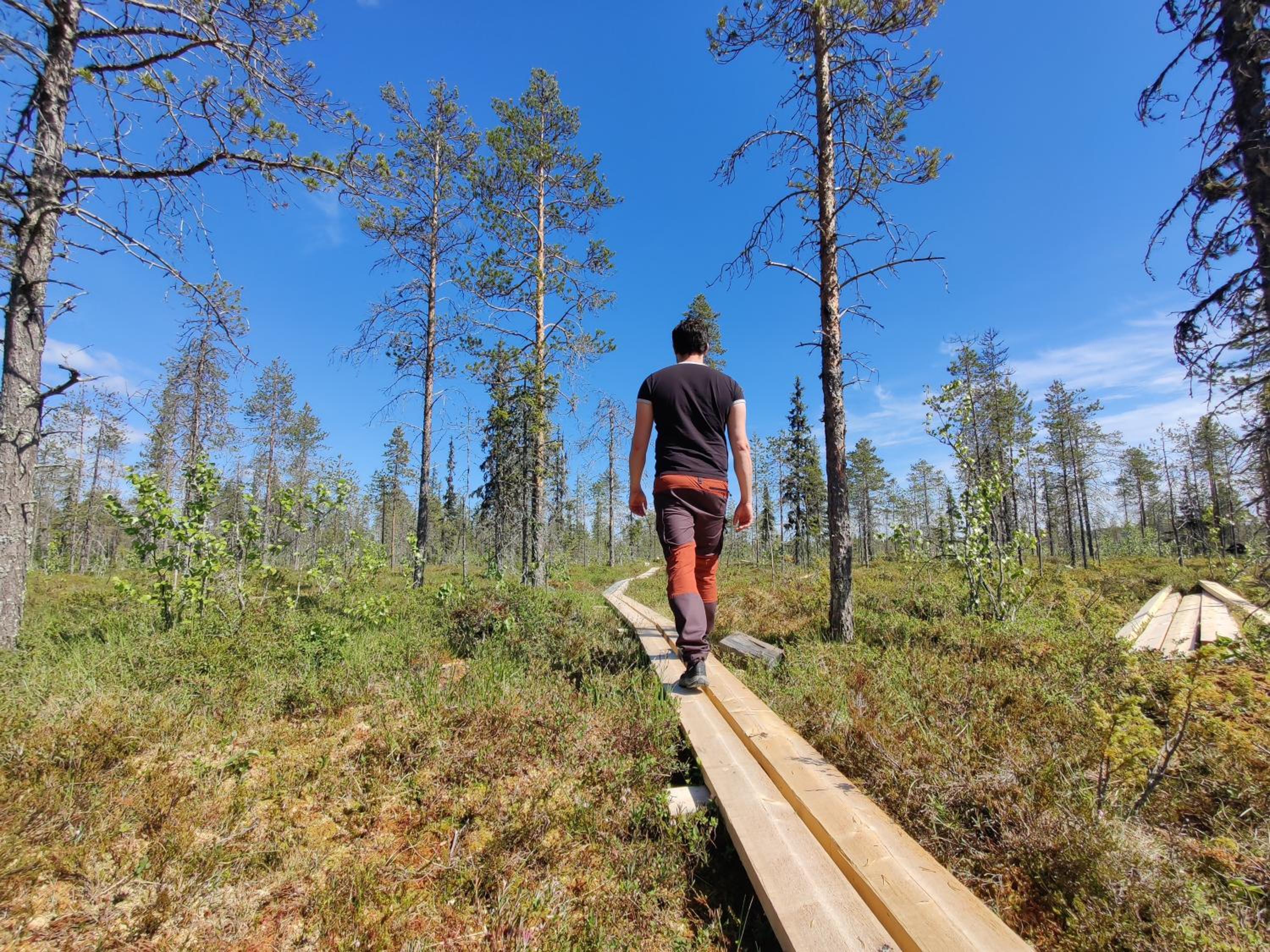 Långforsen Glamping & Lapland Experience