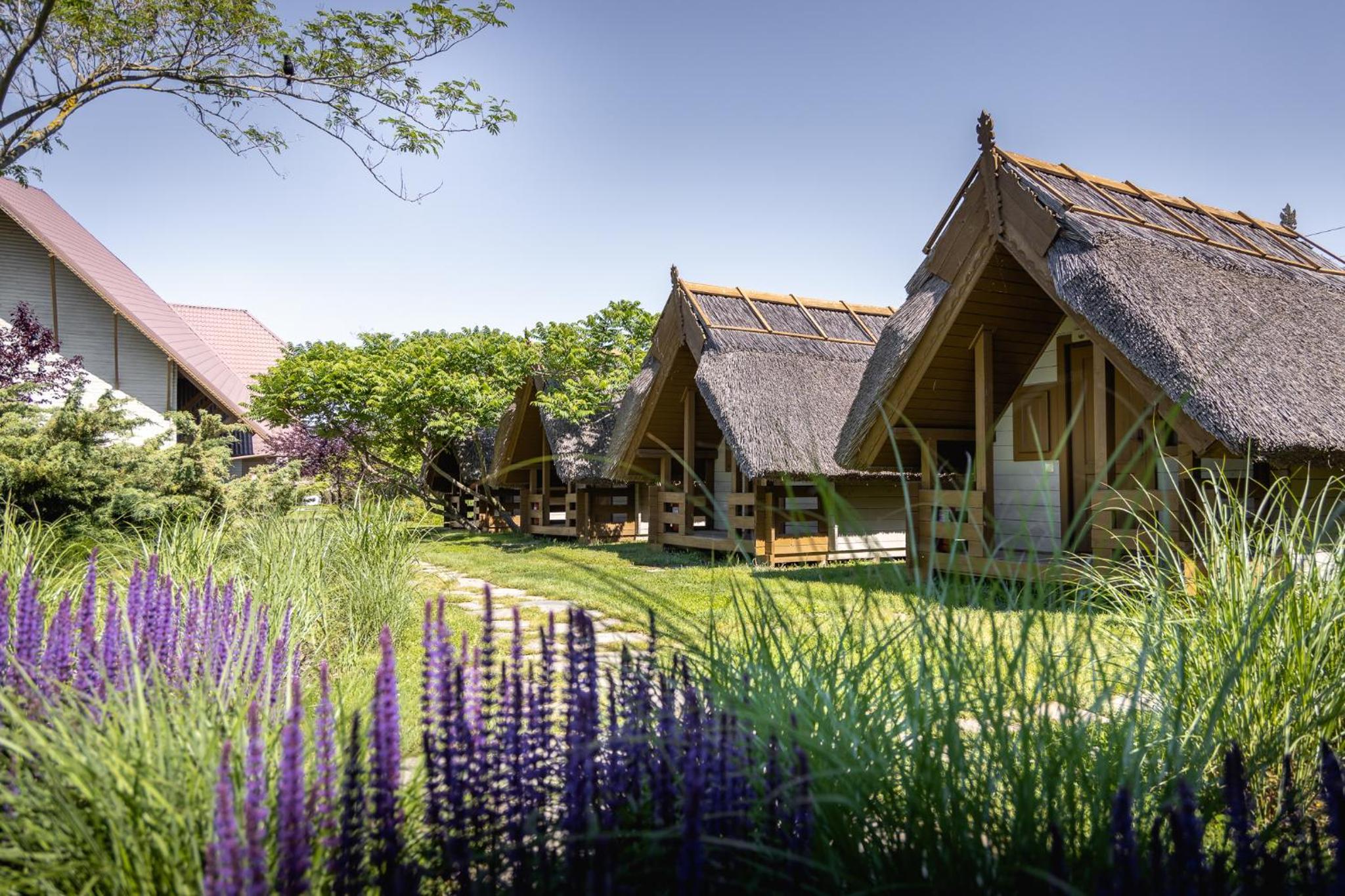 Green Village Resort