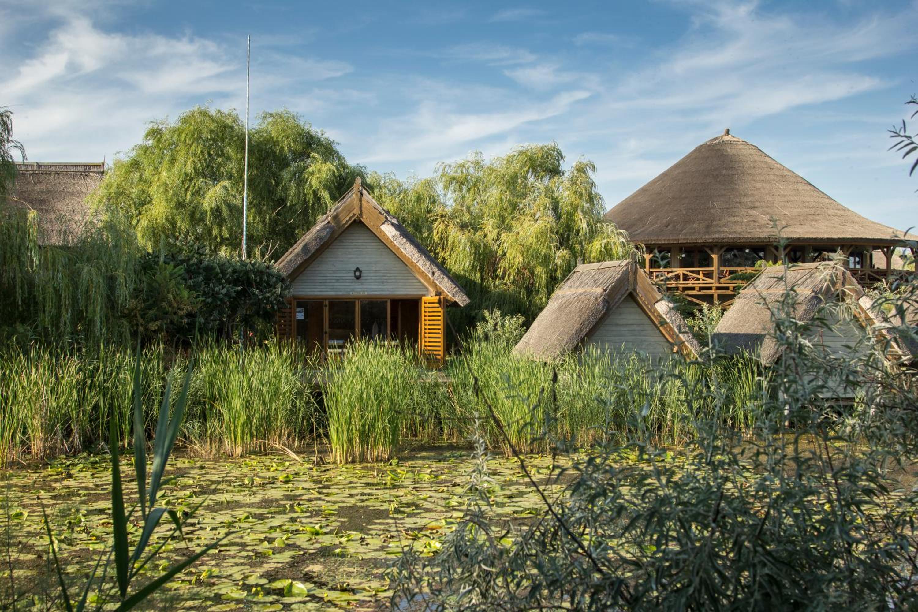 Green Village Resort