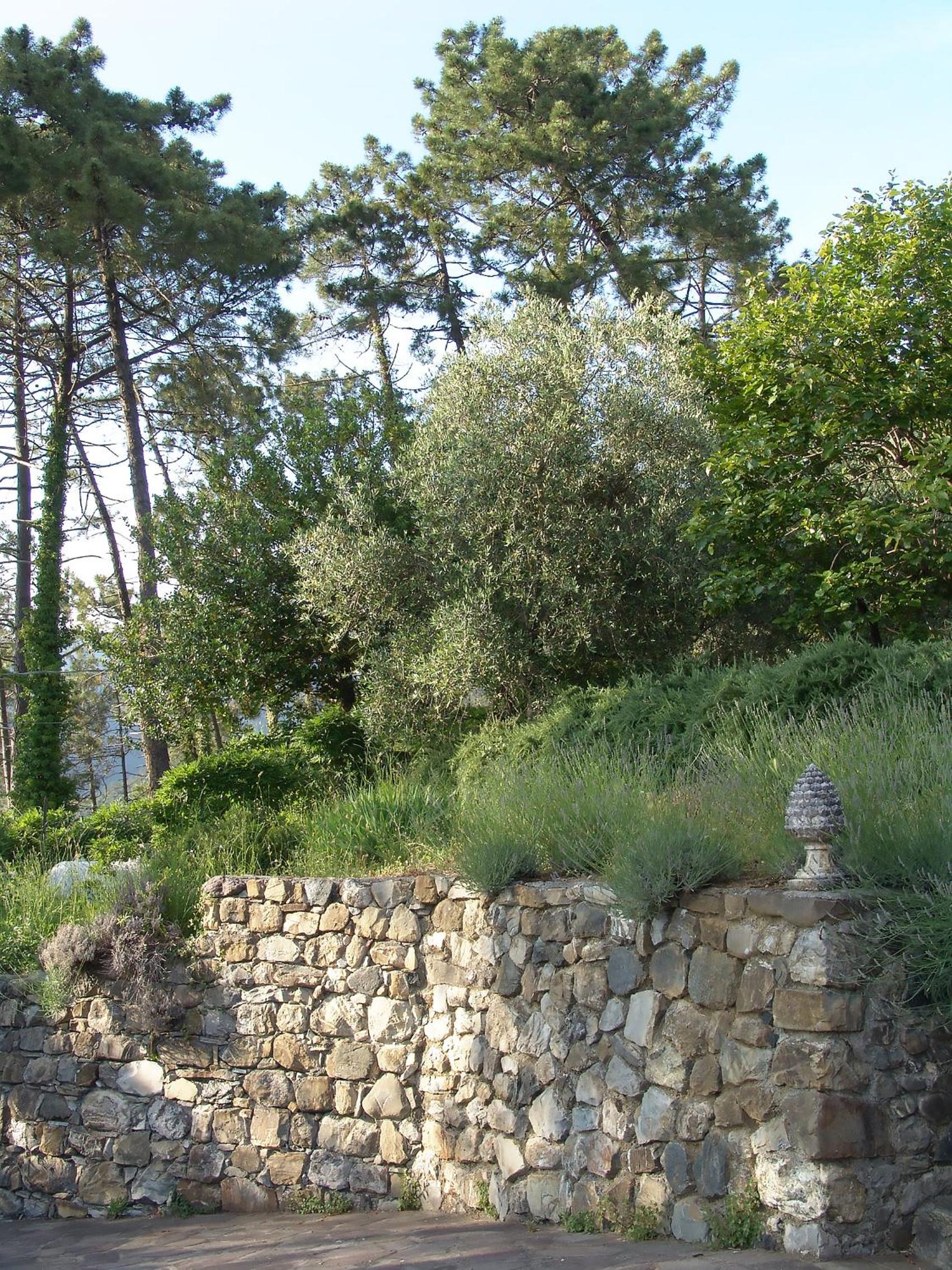 Photo 29