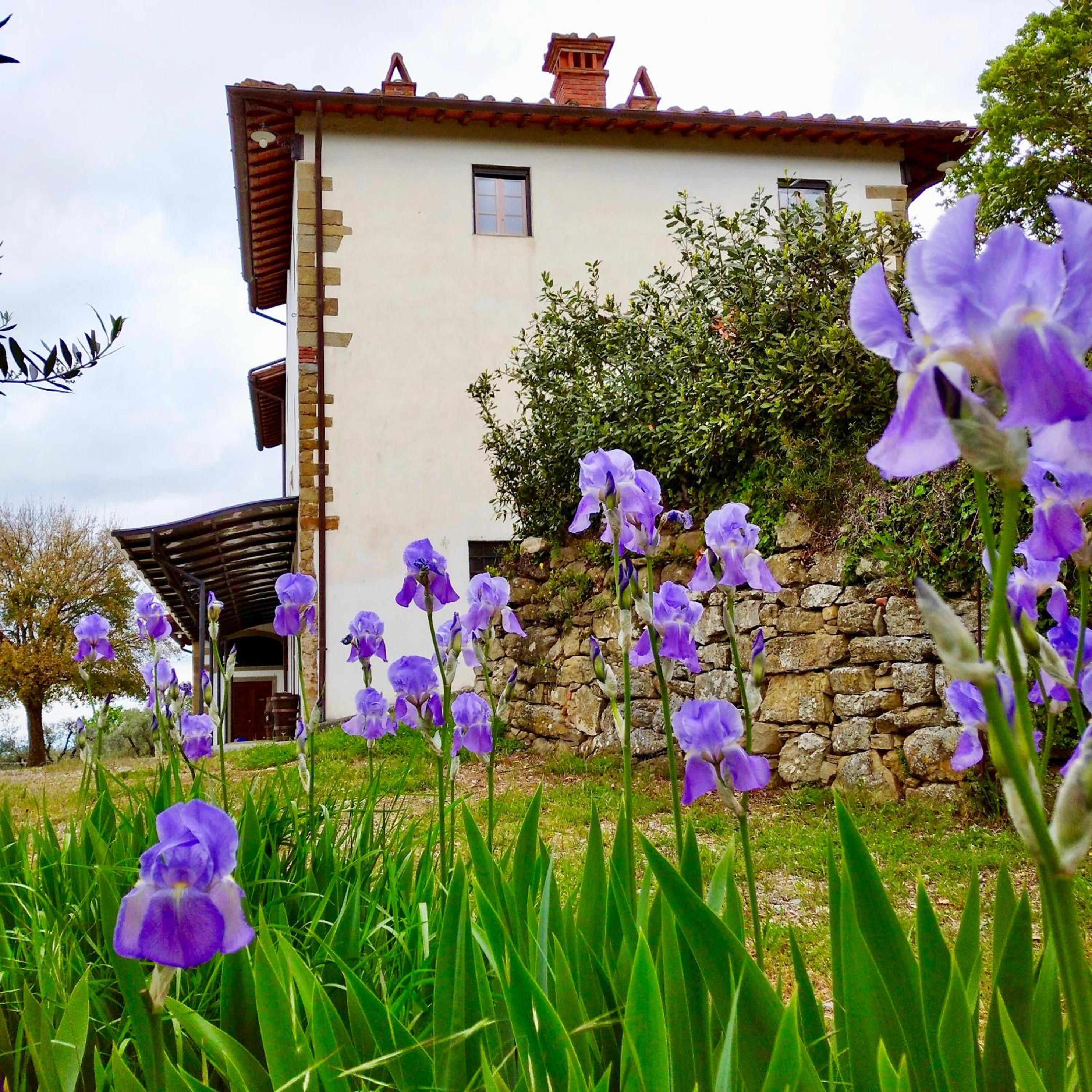 Agriturismo Cafaggio Primo